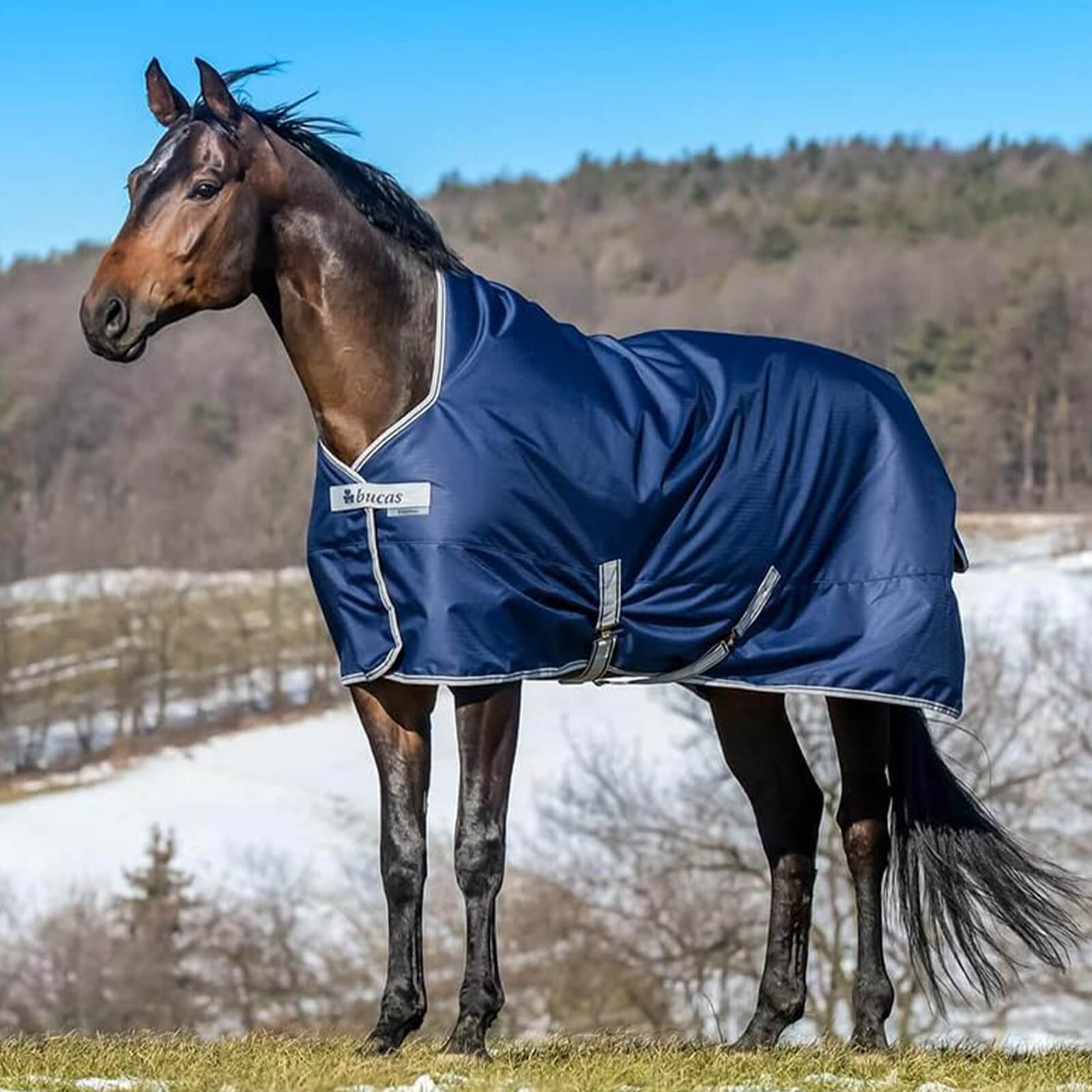 Outdoordecke 150g Freedom Turnout High Neck Weidedecke