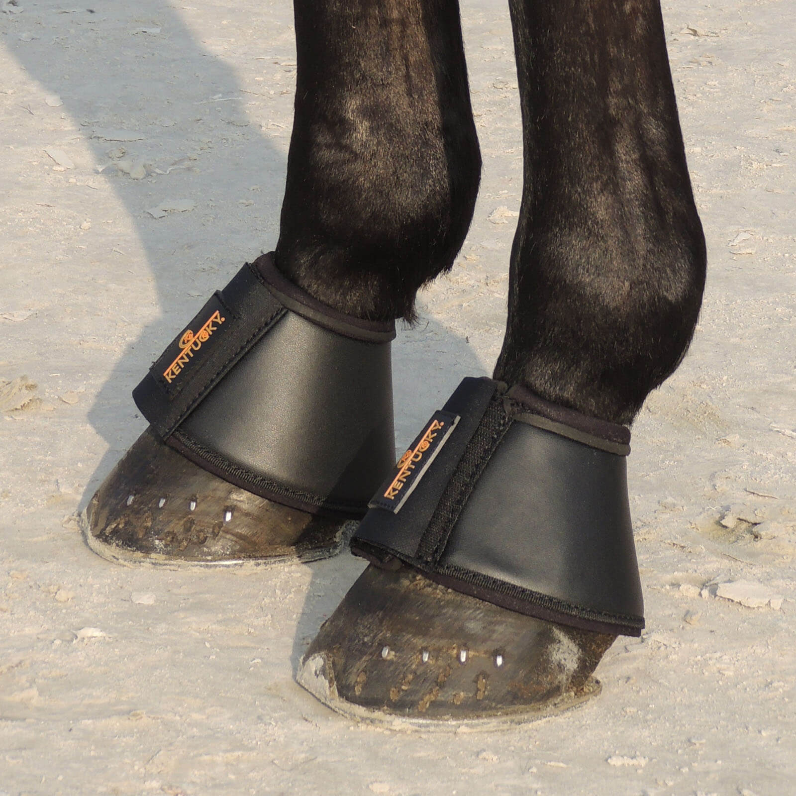 Hufglocken Leder Sprungglocken