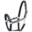 Black Zebra