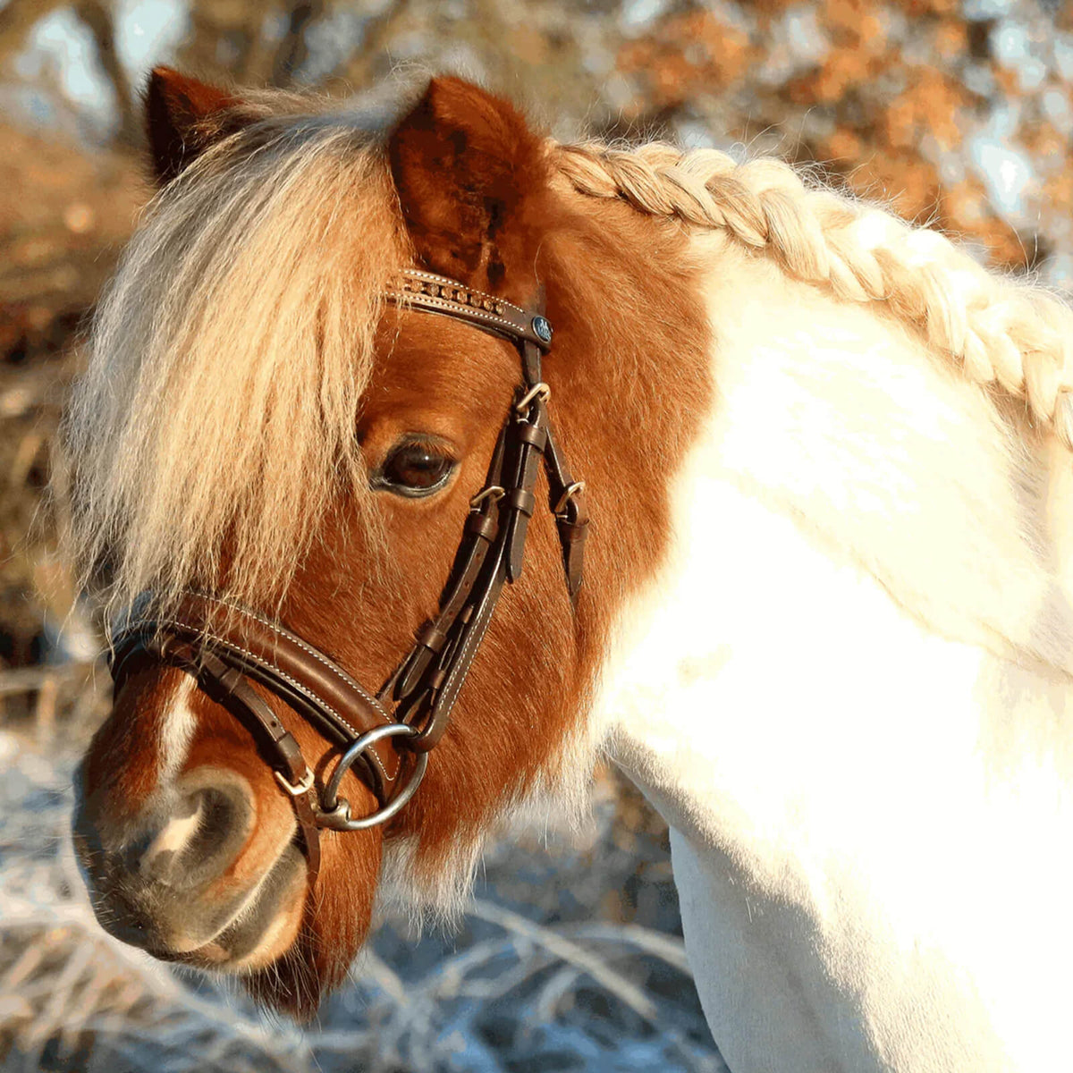 Sprenger Unterlegtrense Doppelt Gebrochen KK Ultra 12 mm SENSOGAN® Gebiss, braun, Pony im Profil mit Trense.