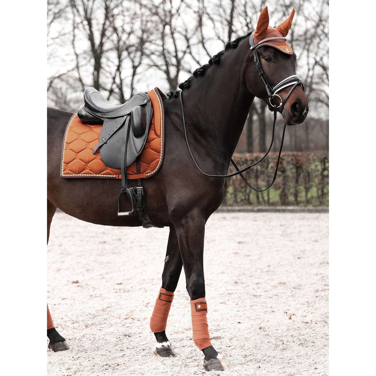 Bandagen Signature FS 2024 Polos