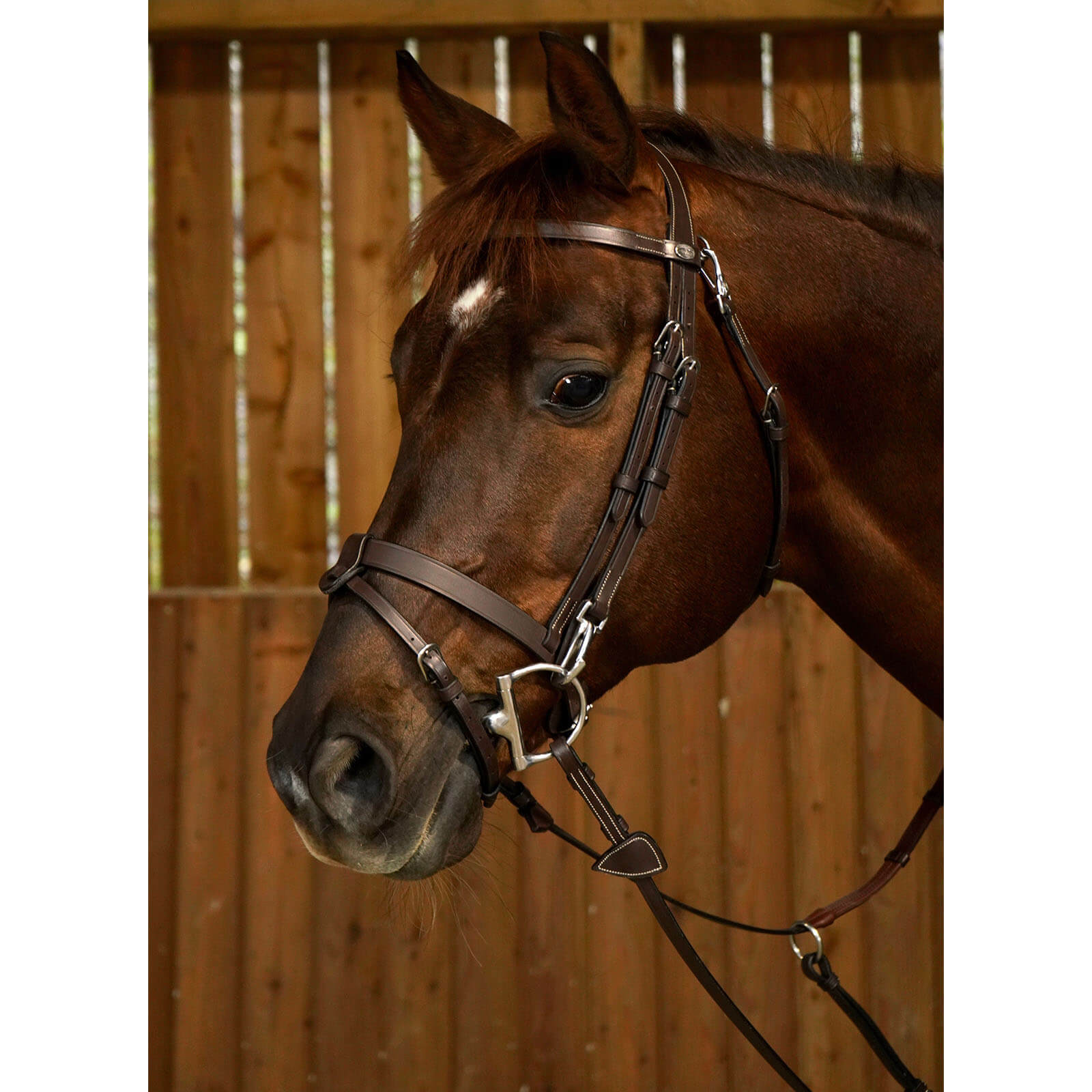 Trense aus Flachleder mit Karabinern Working Collection Trensenzaum