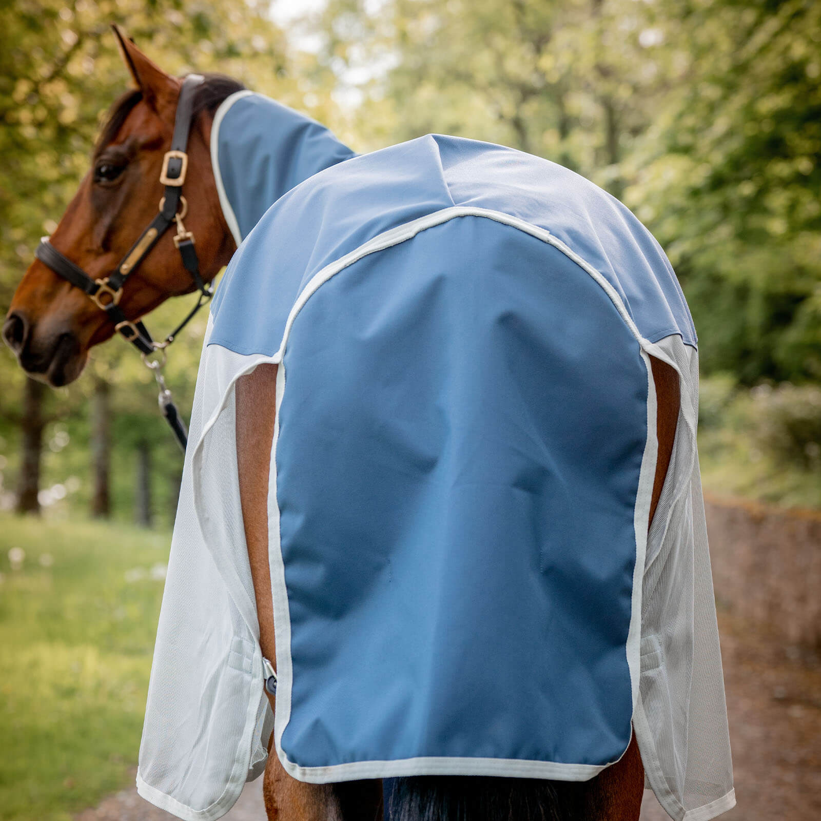 Fliegendecke mit Regenschutz Amigo AmECO Combi 3-in-1 Weidedecke