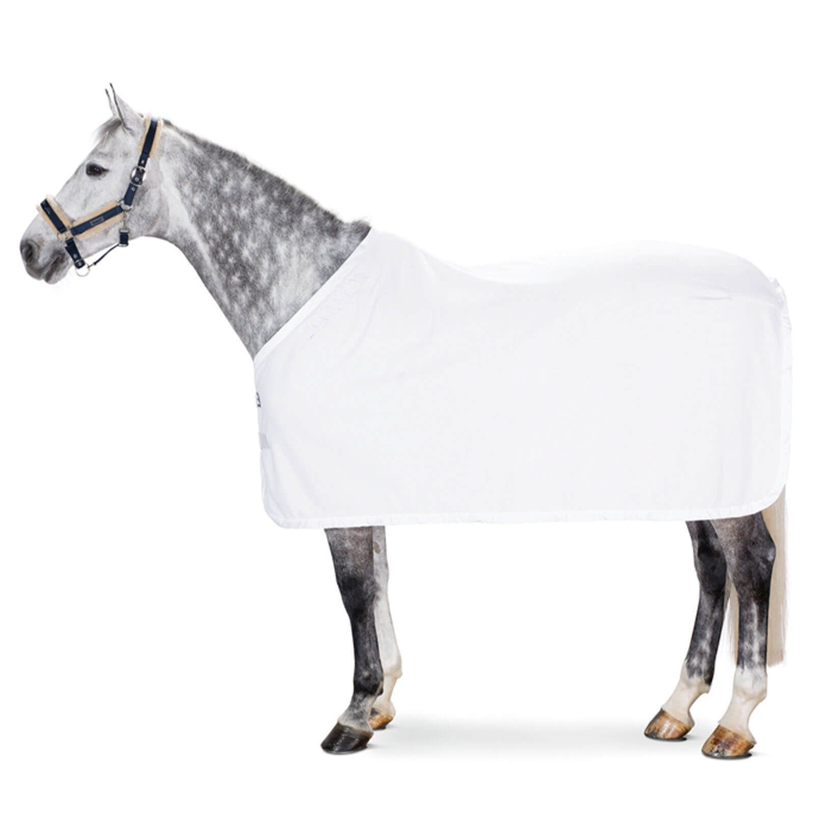 Abschwitzdecke Fleece Basics
