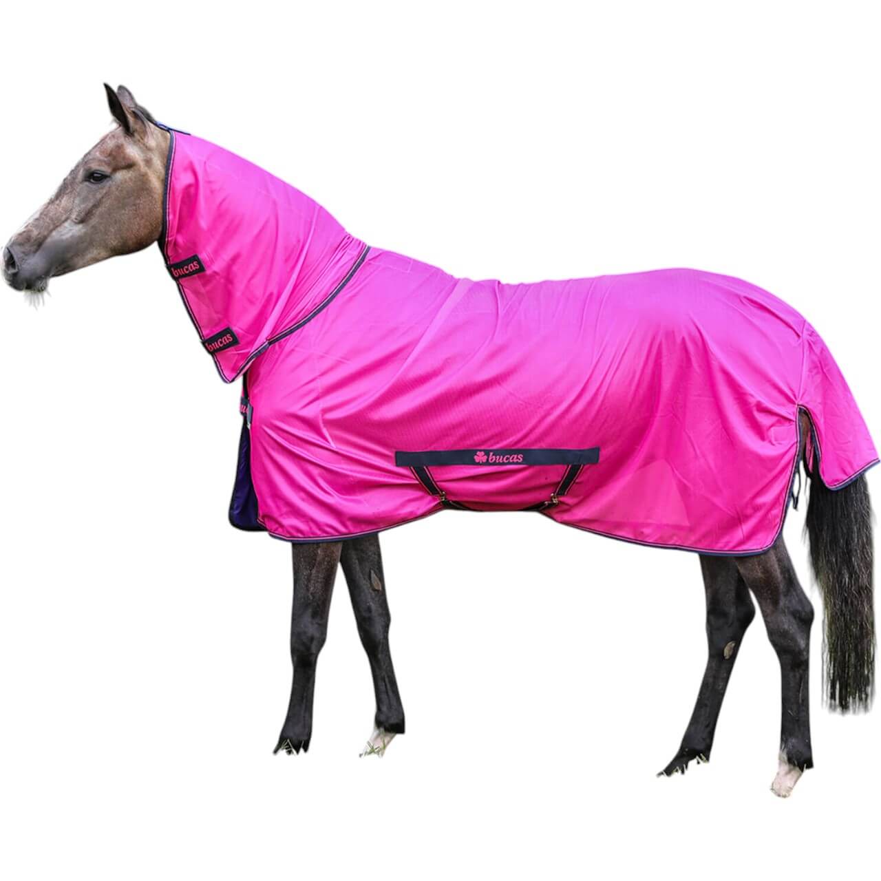 Fliegendecke Freedom Fly Sheet Full Neck Insektenschutzdecke