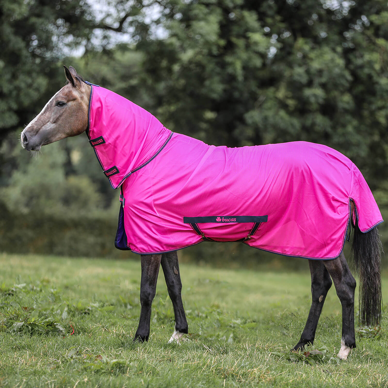 Fliegendecke Freedom Fly Sheet Full Neck Insektenschutzdecke