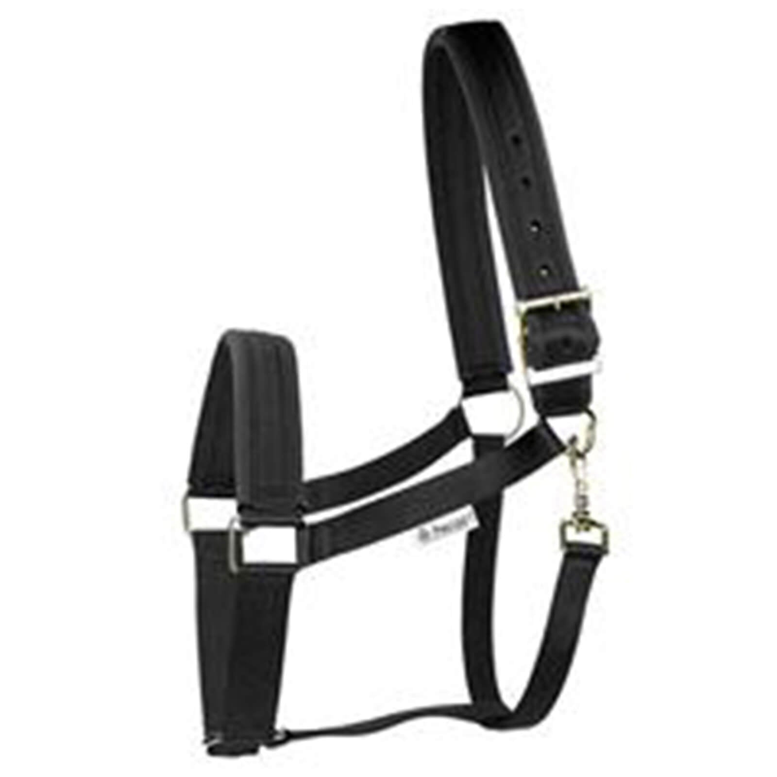 Halfter Comfort Halter