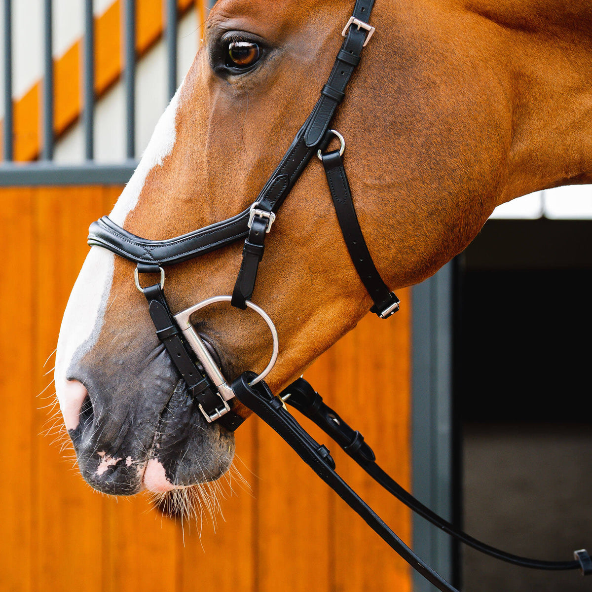 Trense Micklem 2 Diamante Competition Bridle Micklemtrense