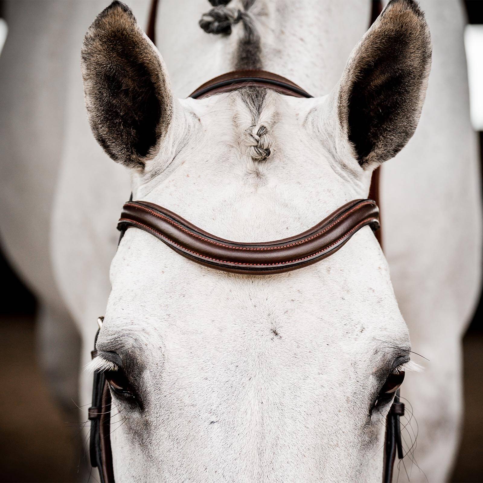 Trense Micklem 2 Deluxe Competition Bridle Micklemtrense