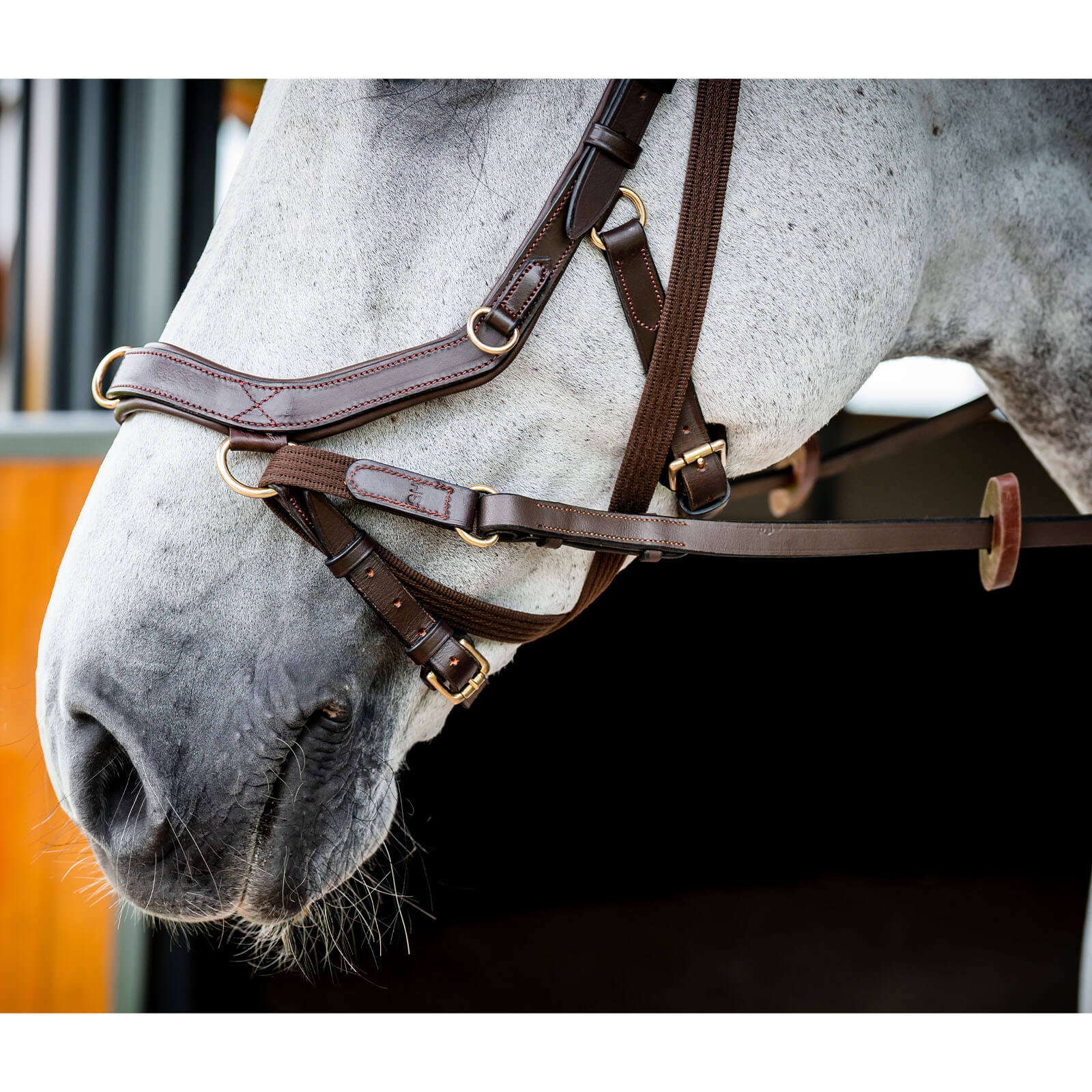 Trense Micklem 2 Multi Bridle Micklemtrense
