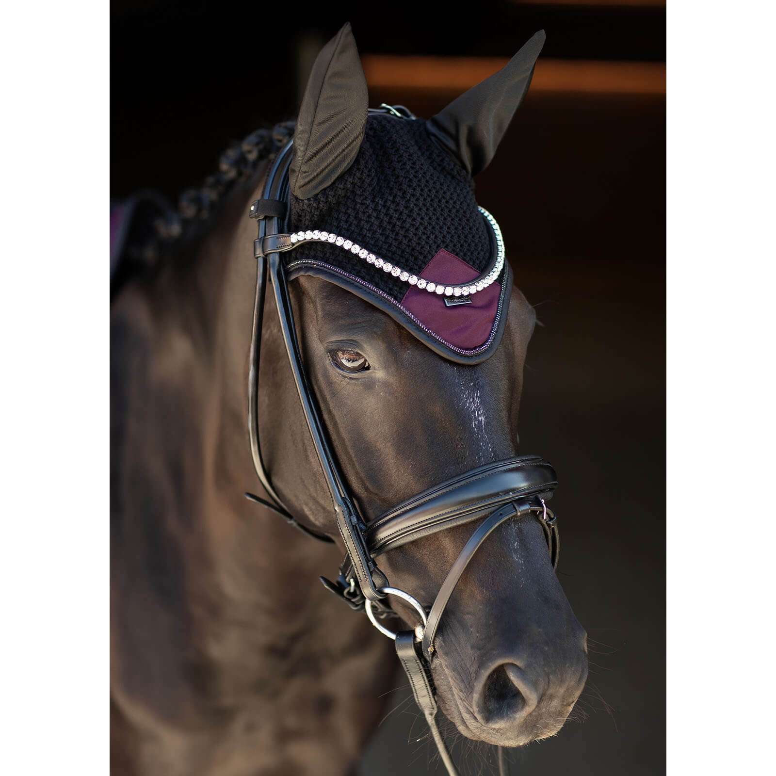 Fliegenmütze Ear Bonnet Modern Purple Night Fliegenohren