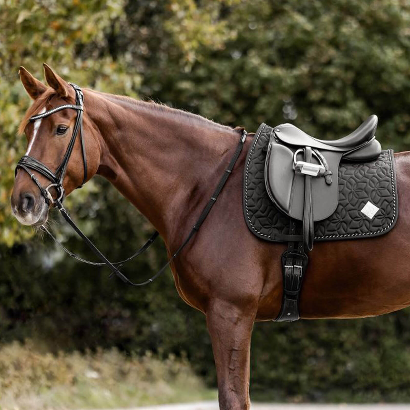Schabracke Marseille Saddle Pad