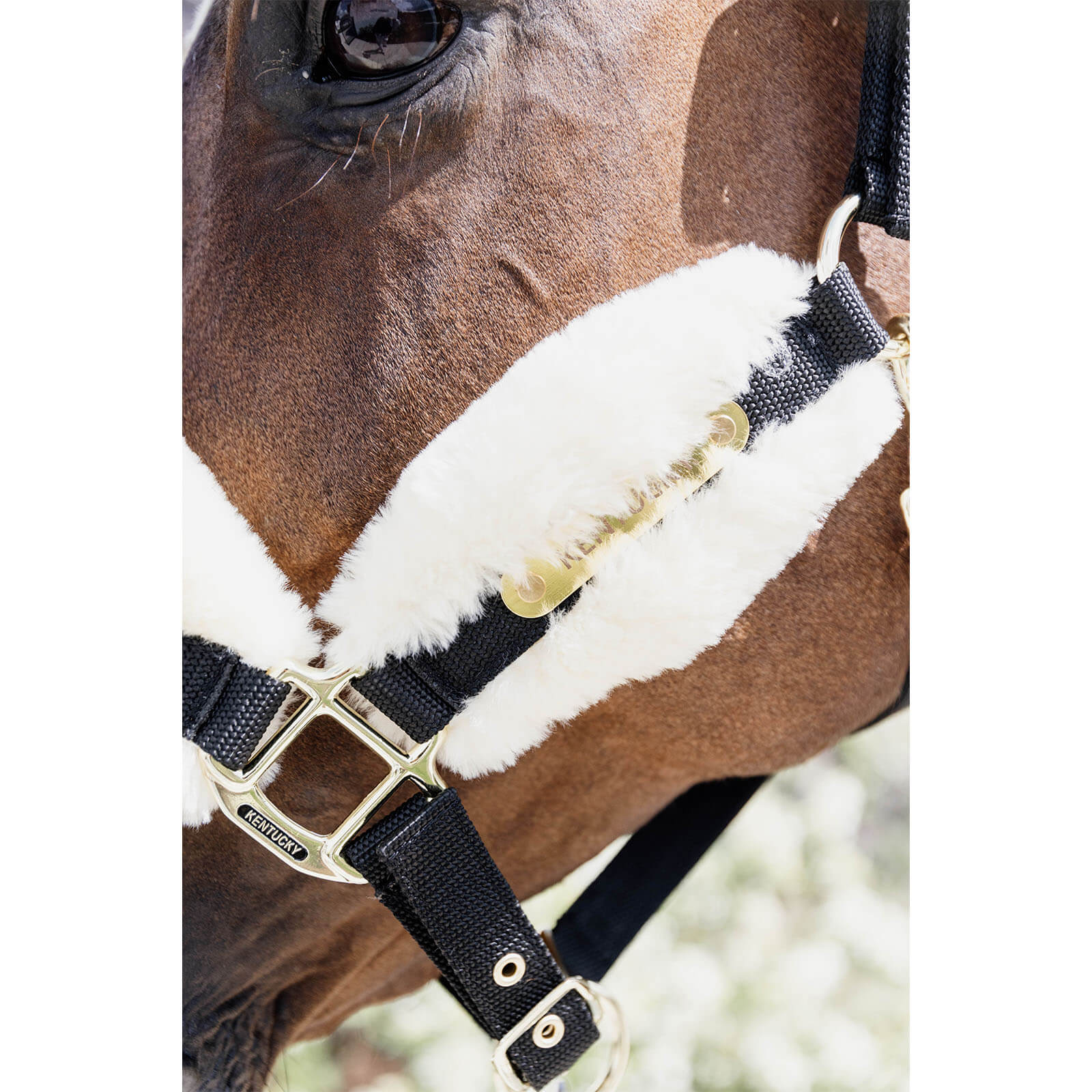Nylonhalfter mit Lammfell Soft Stallhalfter