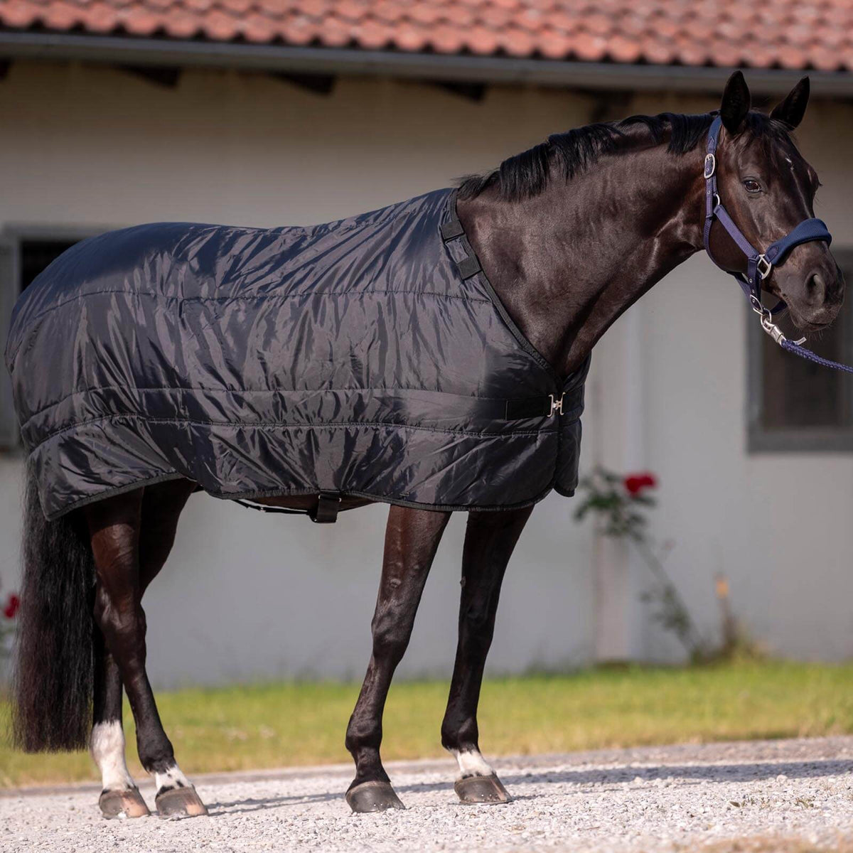 Unterziehdecke Liner Noorvik Pro II 200, Schwarz, am Pferd getragen.