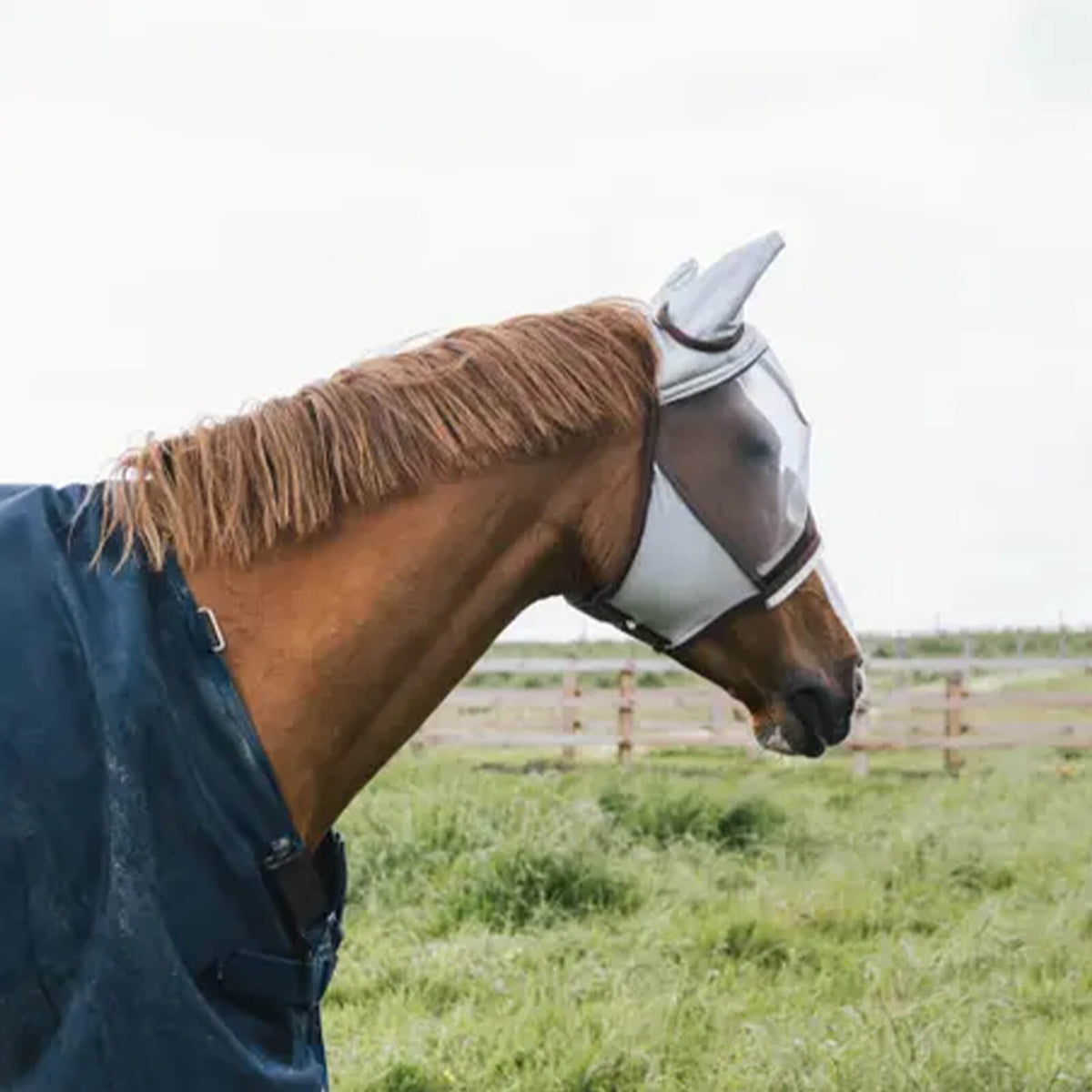 Kentucky Horsewear Fliegenmaske Skin friendly mit Ohren, Hellgrau, Pferd trägt die Maske auf der Weide.