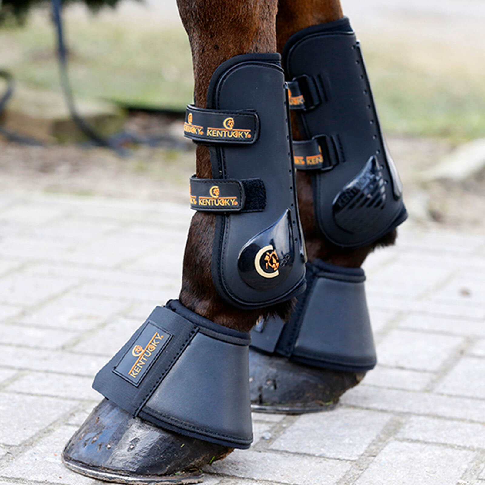 Hufglocken Leder Sprungglocken