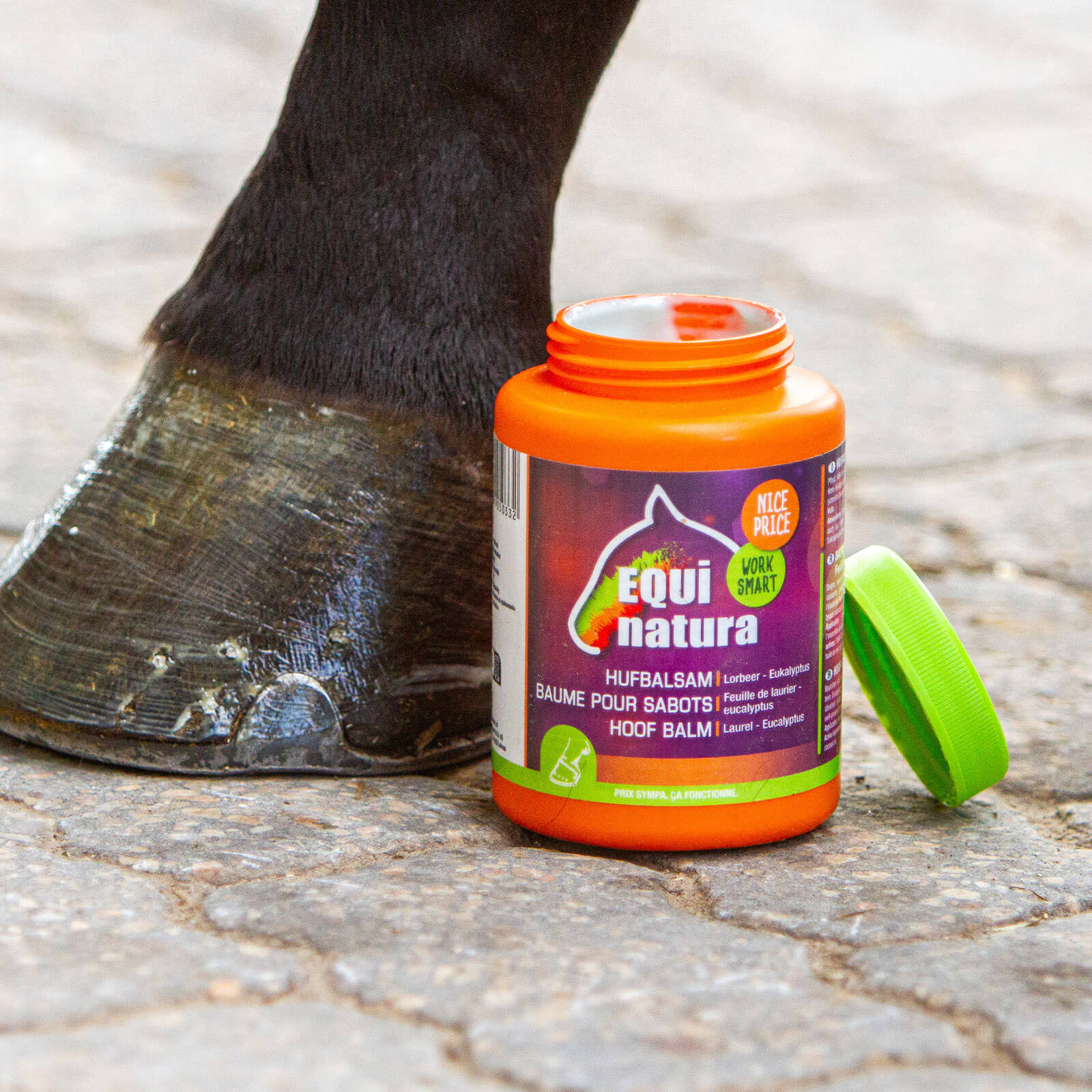 Hufbalsam Hufpflege