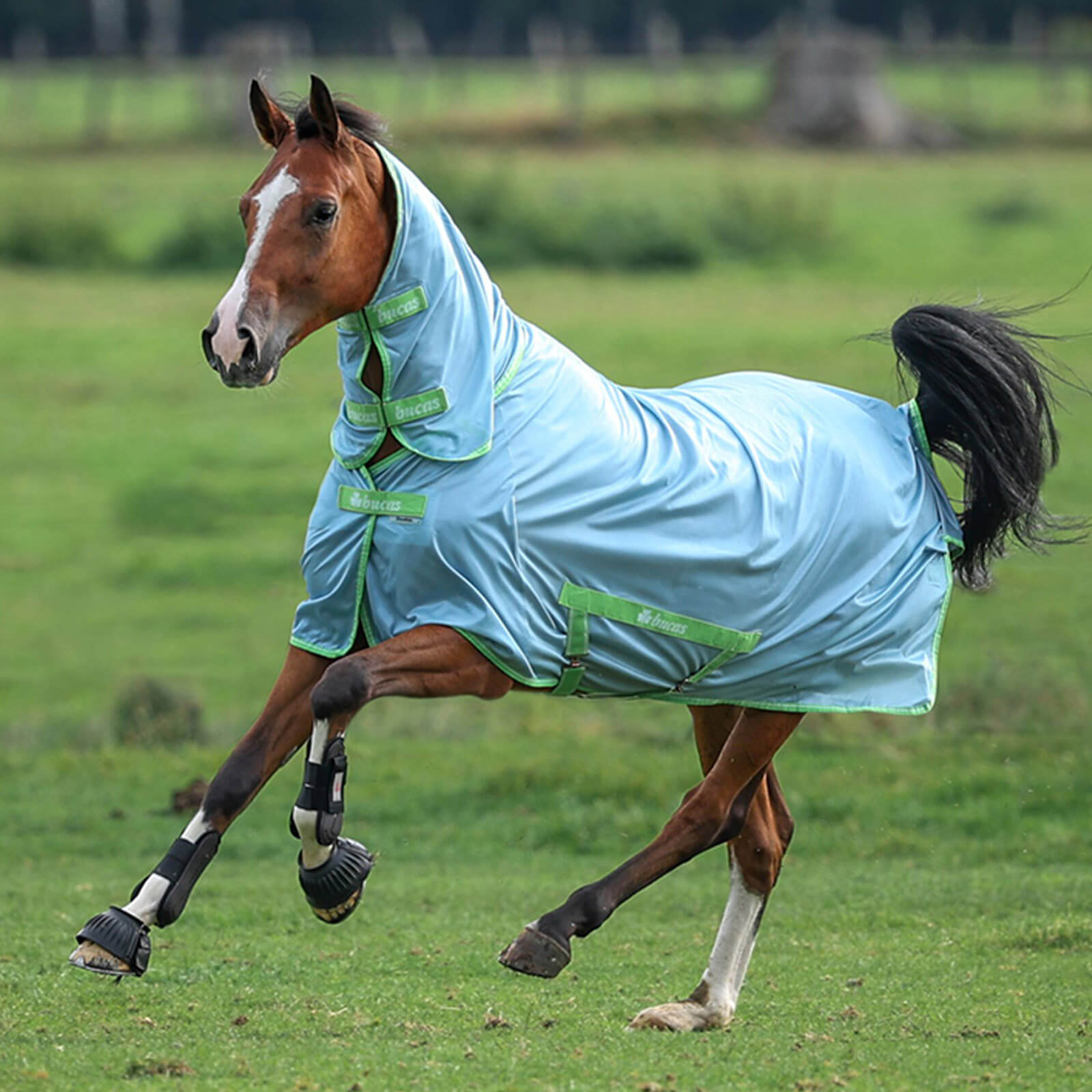 Fliegendecke Freedom Fly Sheet Full Neck Insektenschutzdecke