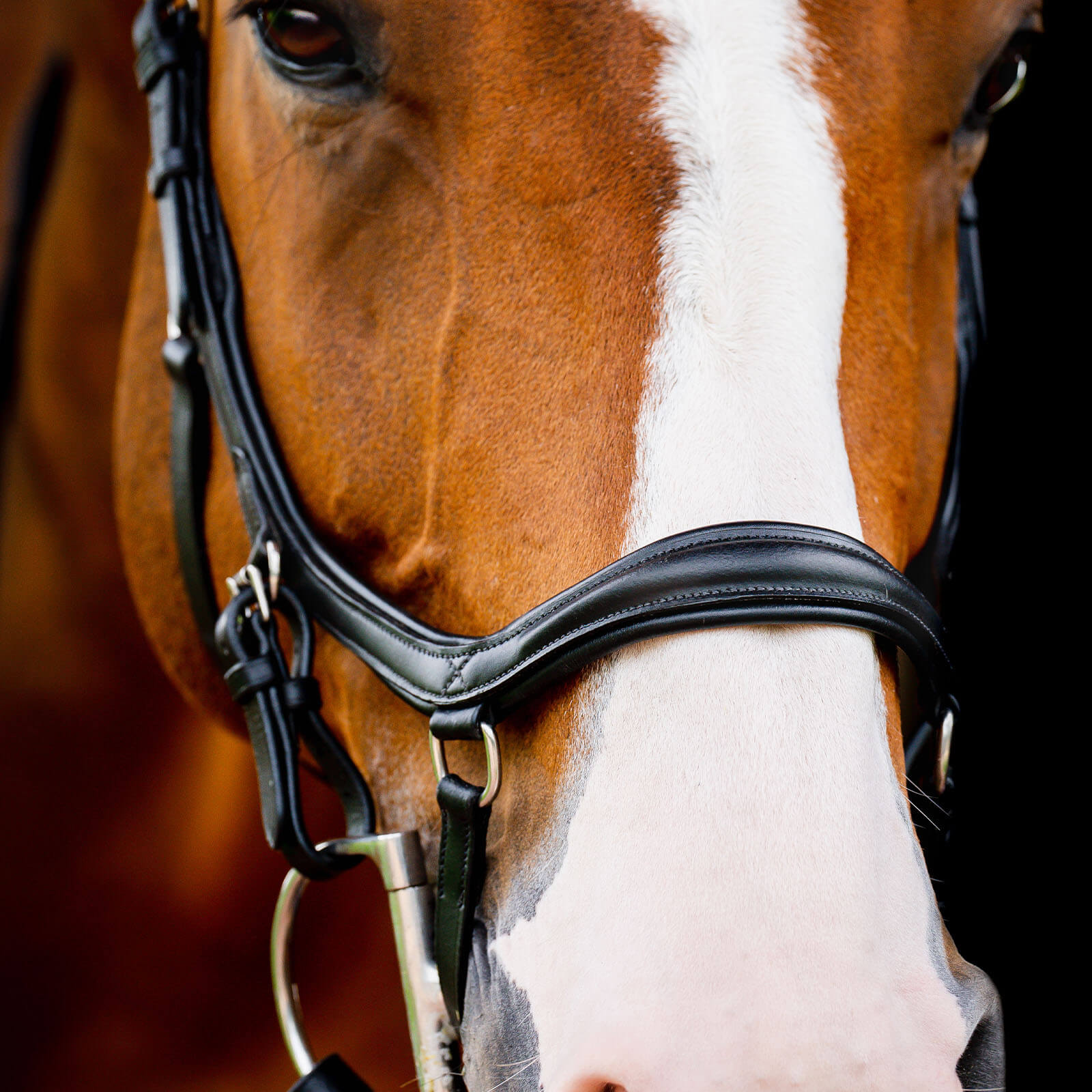 Trense Micklem 2 Diamante Competition Bridle Micklemtrense
