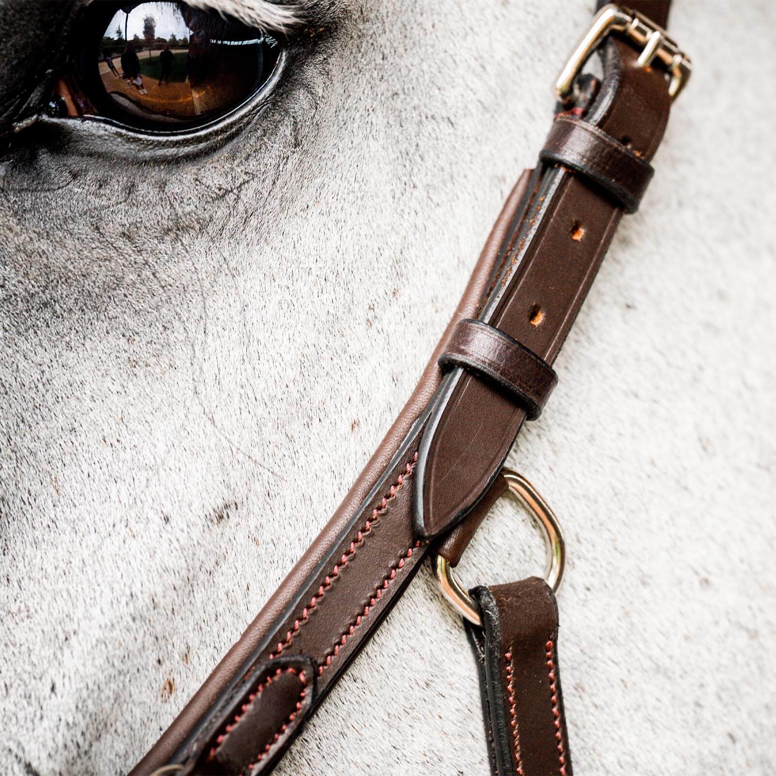 Trense Micklem 2 Deluxe Competition Bridle Micklemtrense