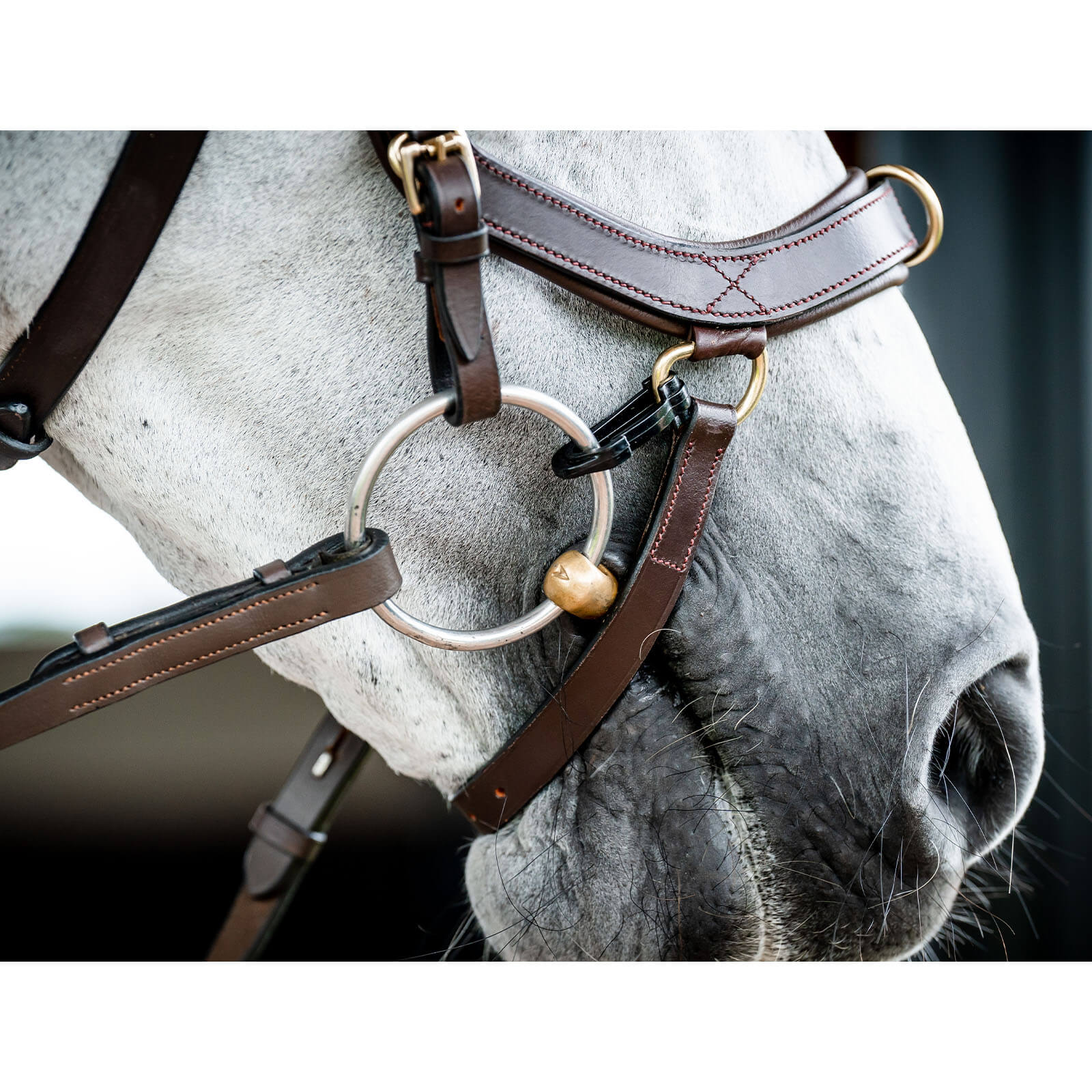 Trense Micklem 2 Multi Bridle Micklemtrense