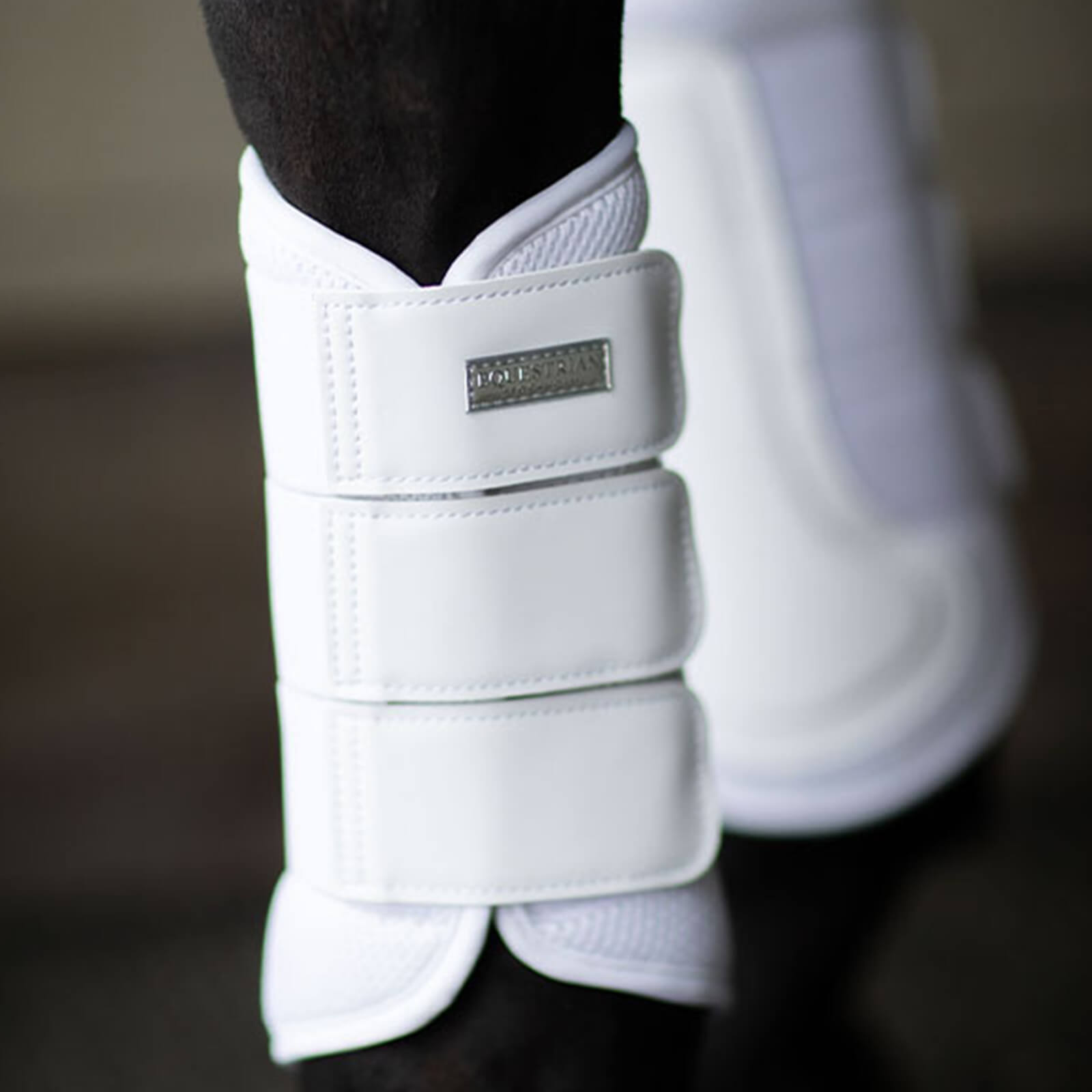 Gamaschen Classic Mesh Boots White Silver Dressurgamaschen