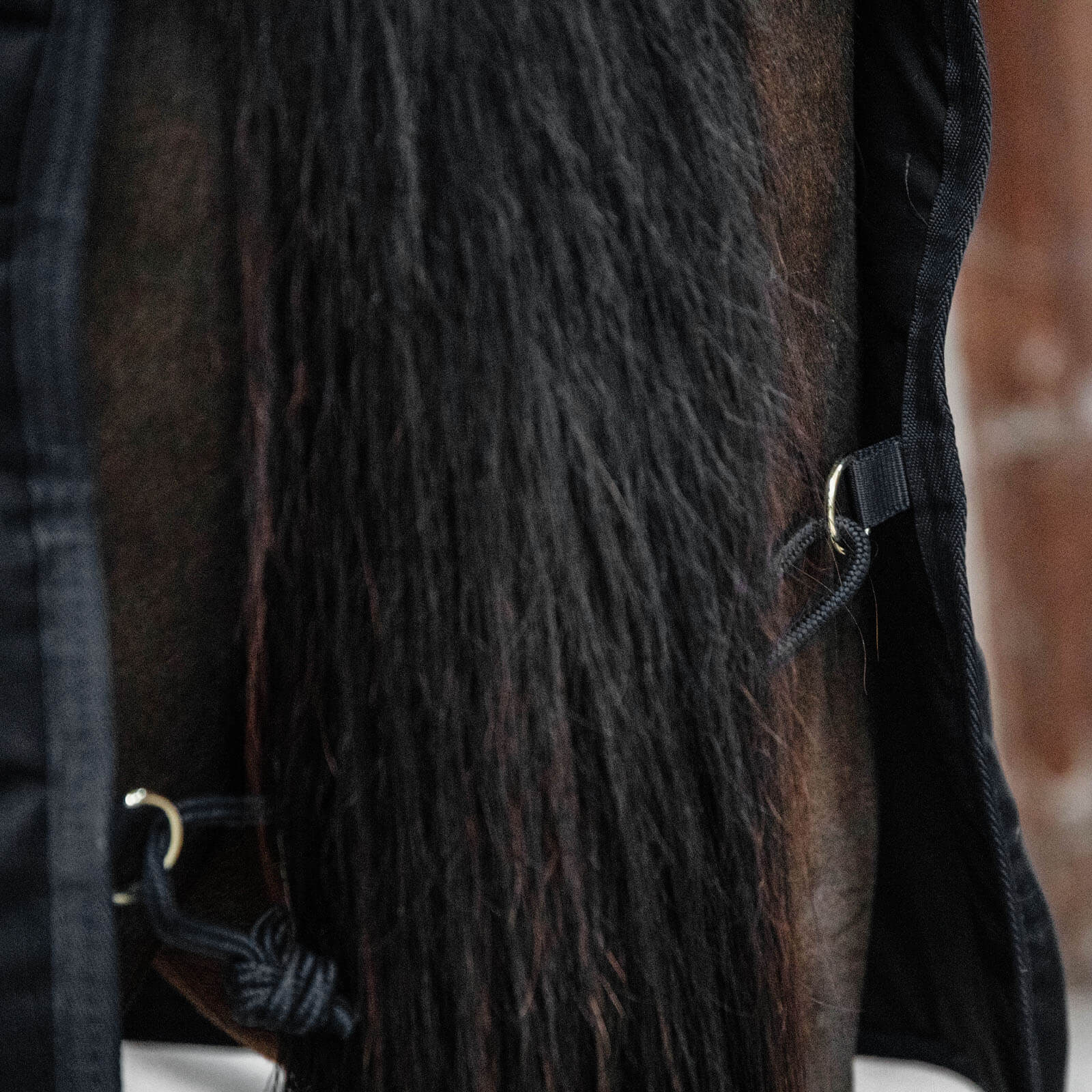 Stalldecke 300g Classic Winterdecke
