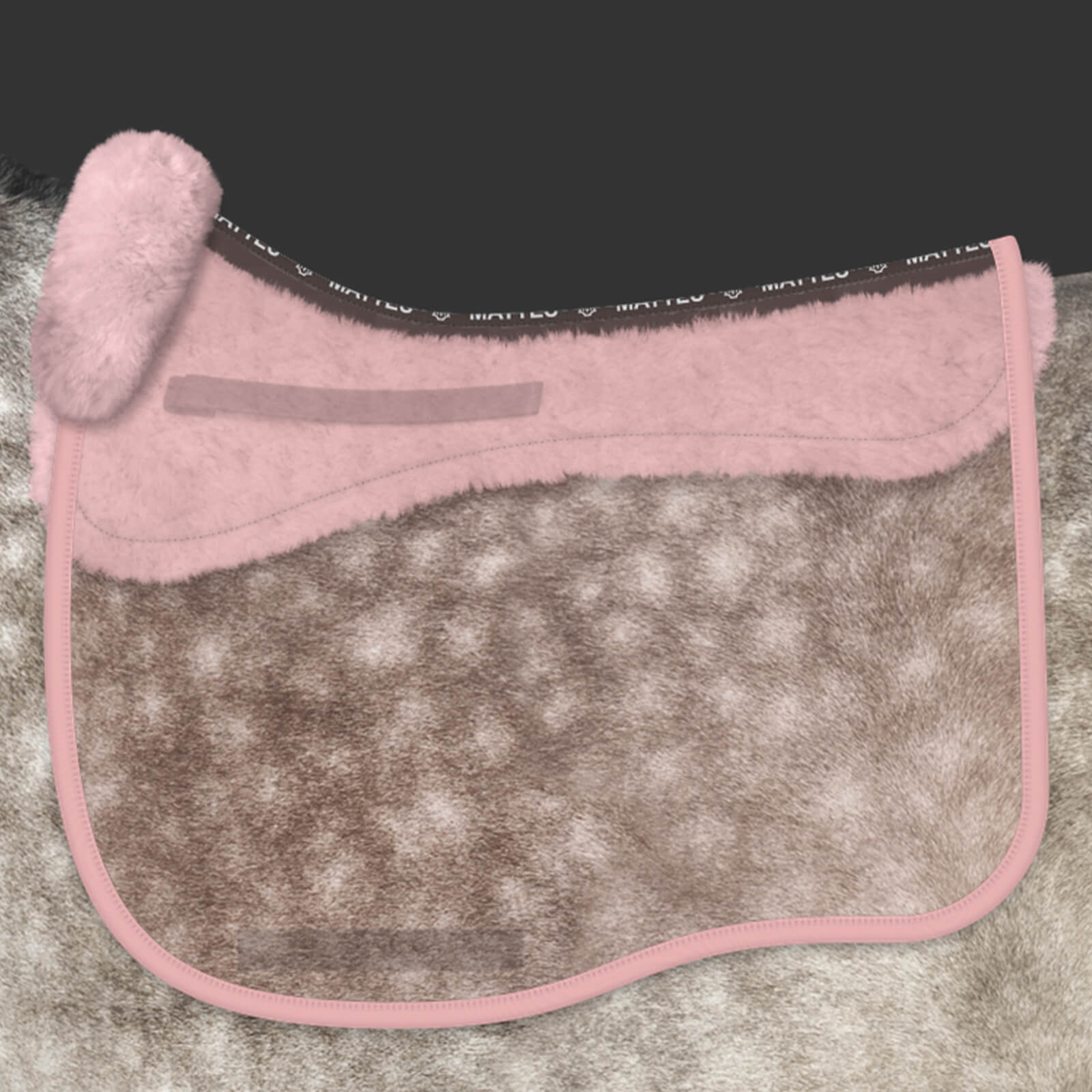 Schabracke Dressur Konfiguration Steppstoff Samt Misty Rose Dressurschabracke, Misty Rose, am Pferd.