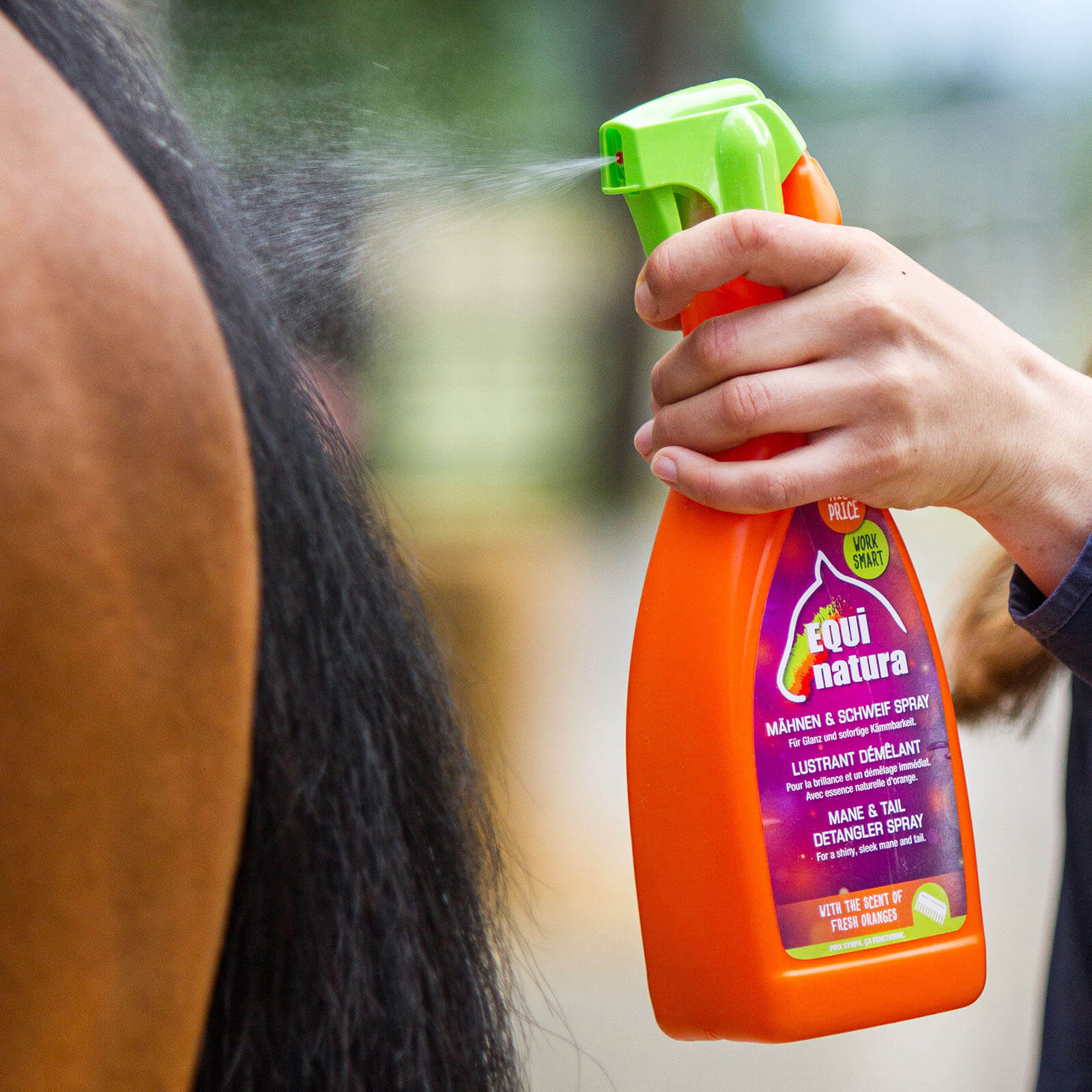 Striegel Mähnen und Schweif Spray