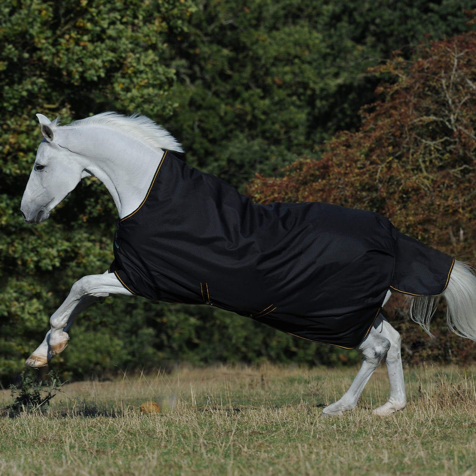 Outdoordecke 300g Irish Turnout High Neck Weidedecke
