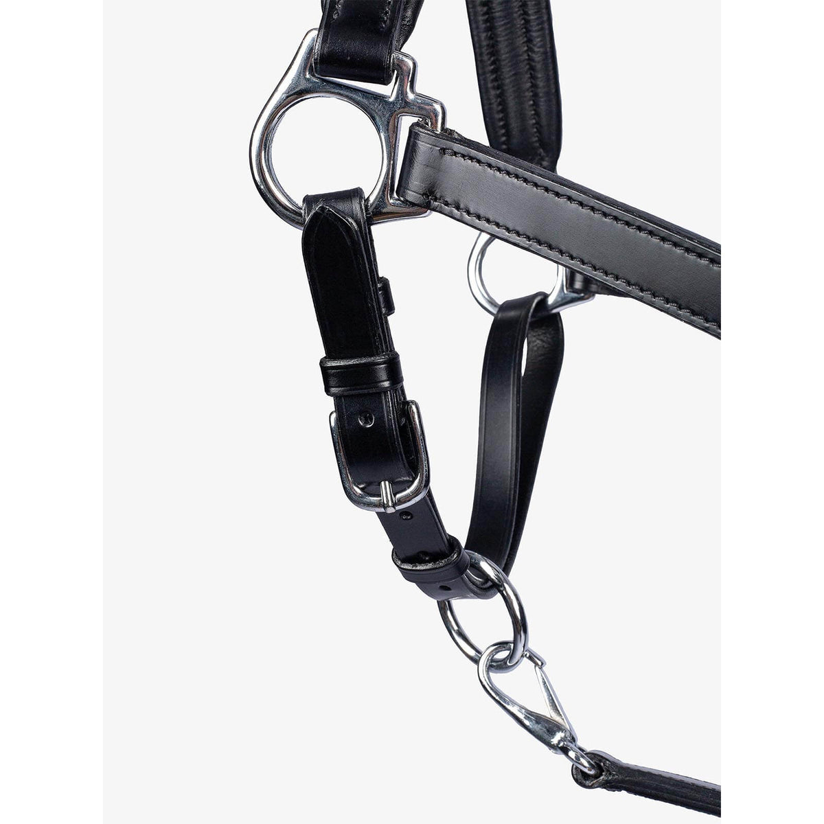 Halfter Leather Lederhalfter, Schwarz, Detailaufnahme des Halters mit Beschlägen.