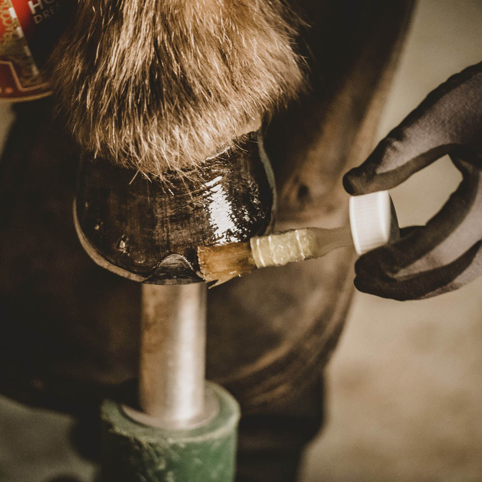 Hufpflege Liquid Hoofdressing
