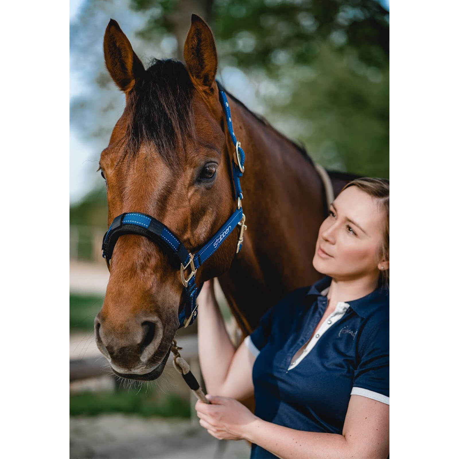 Stallhalfter mit reflektierenden Nähten Halfter