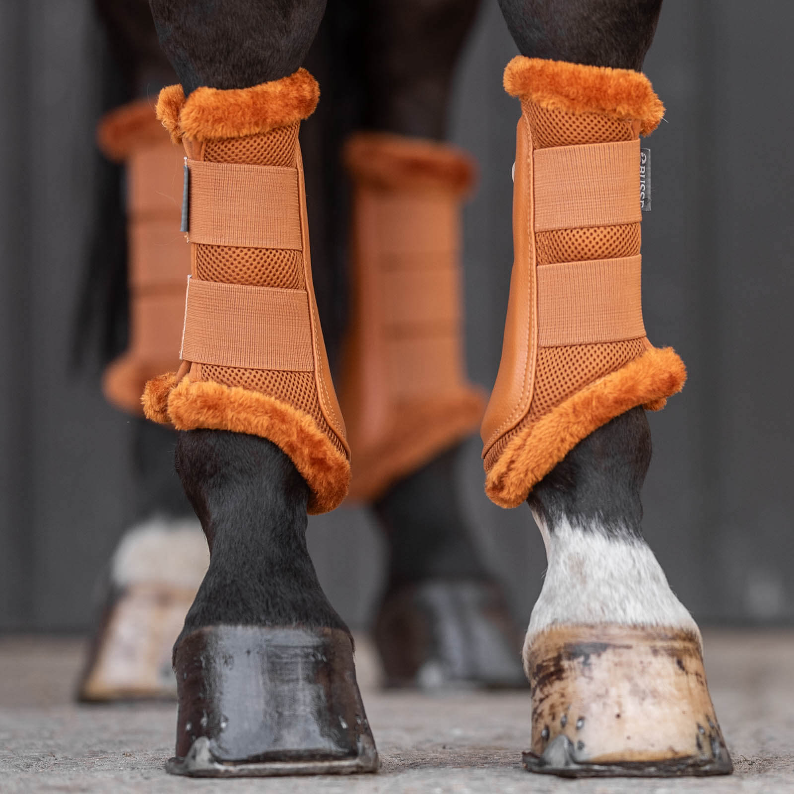 Gamaschen Breezy-Plush Beinschutz für Vorder- und Hinterbeine