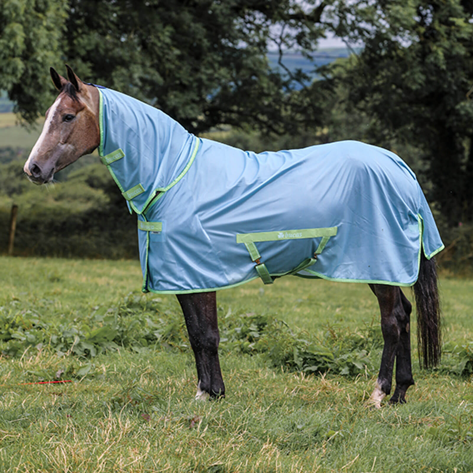 Fliegendecke Freedom Fly Sheet Full Neck Insektenschutzdecke