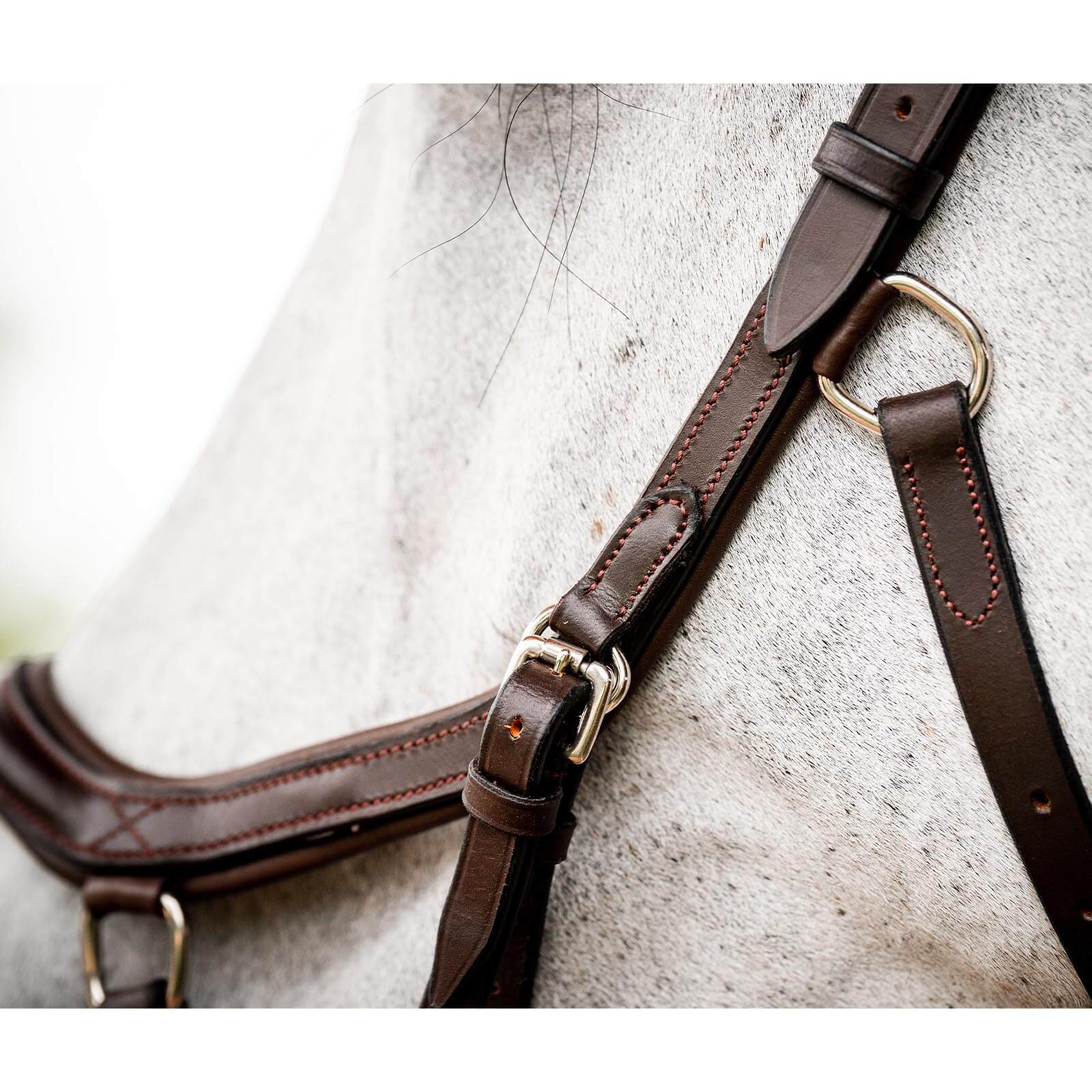 Trense Micklem 2 Deluxe Competition Bridle Micklemtrense