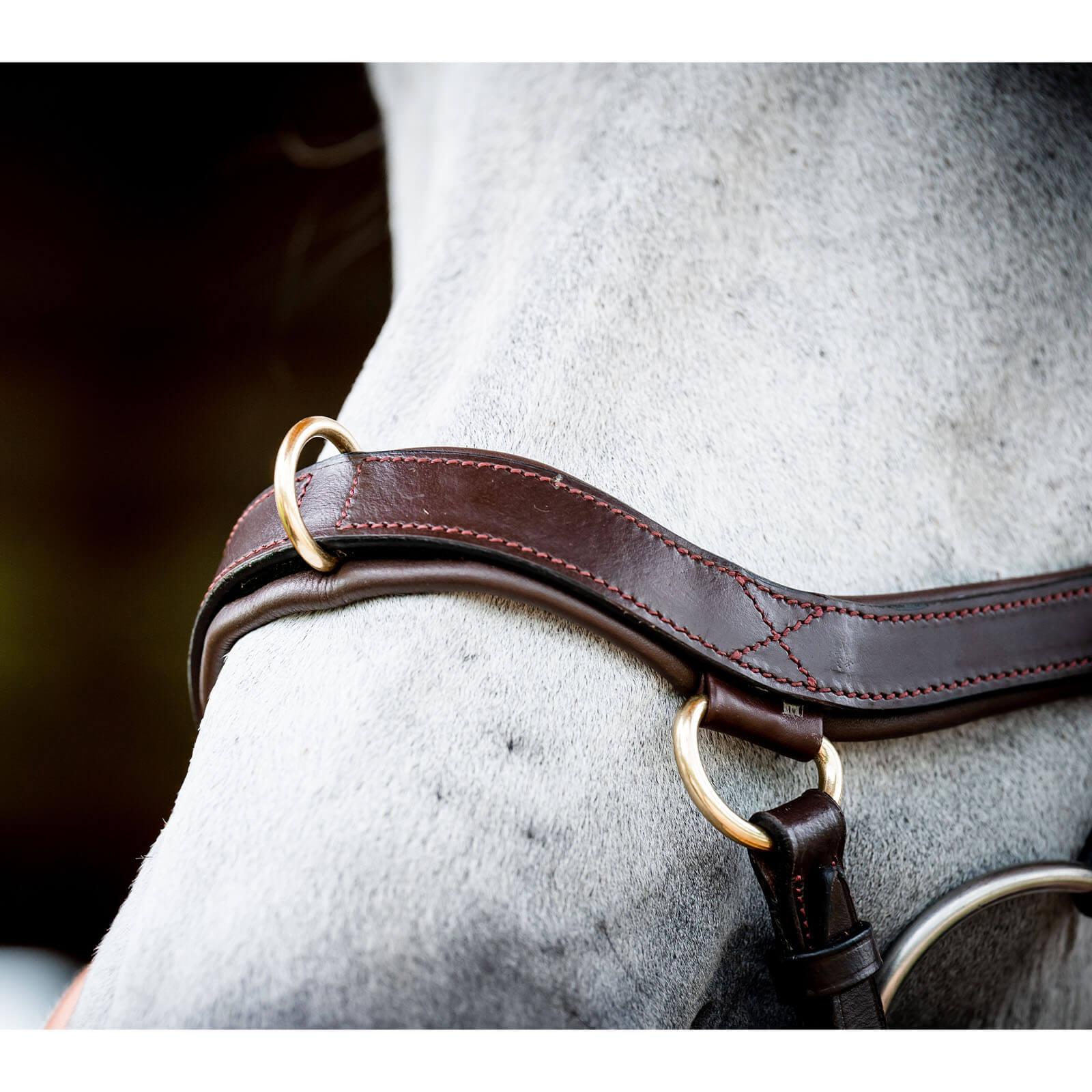 Trense Micklem 2 Multi Bridle Micklemtrense