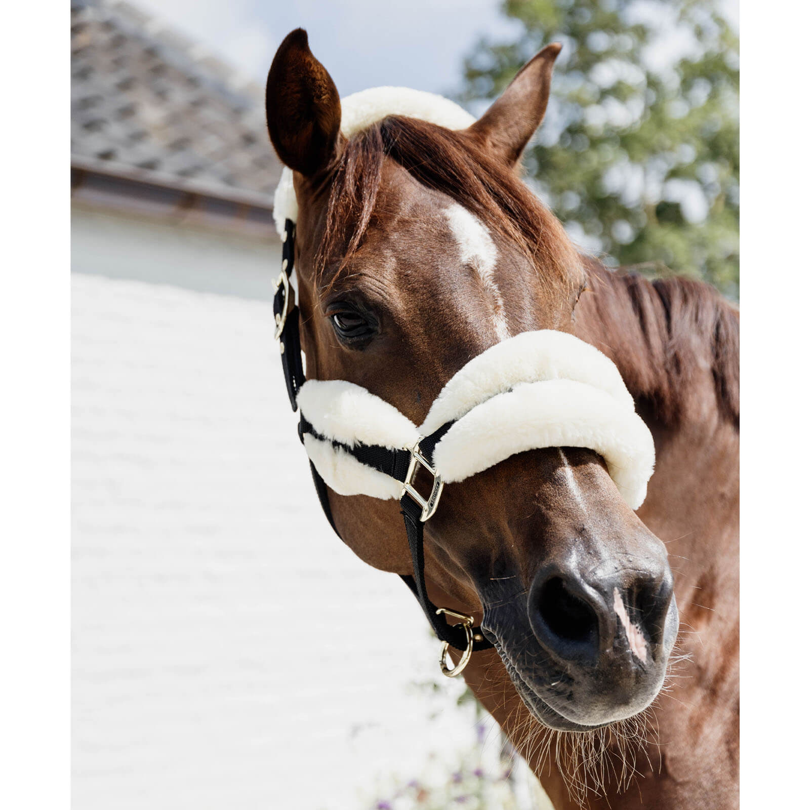 Nylonhalfter mit Lammfell Soft Stallhalfter