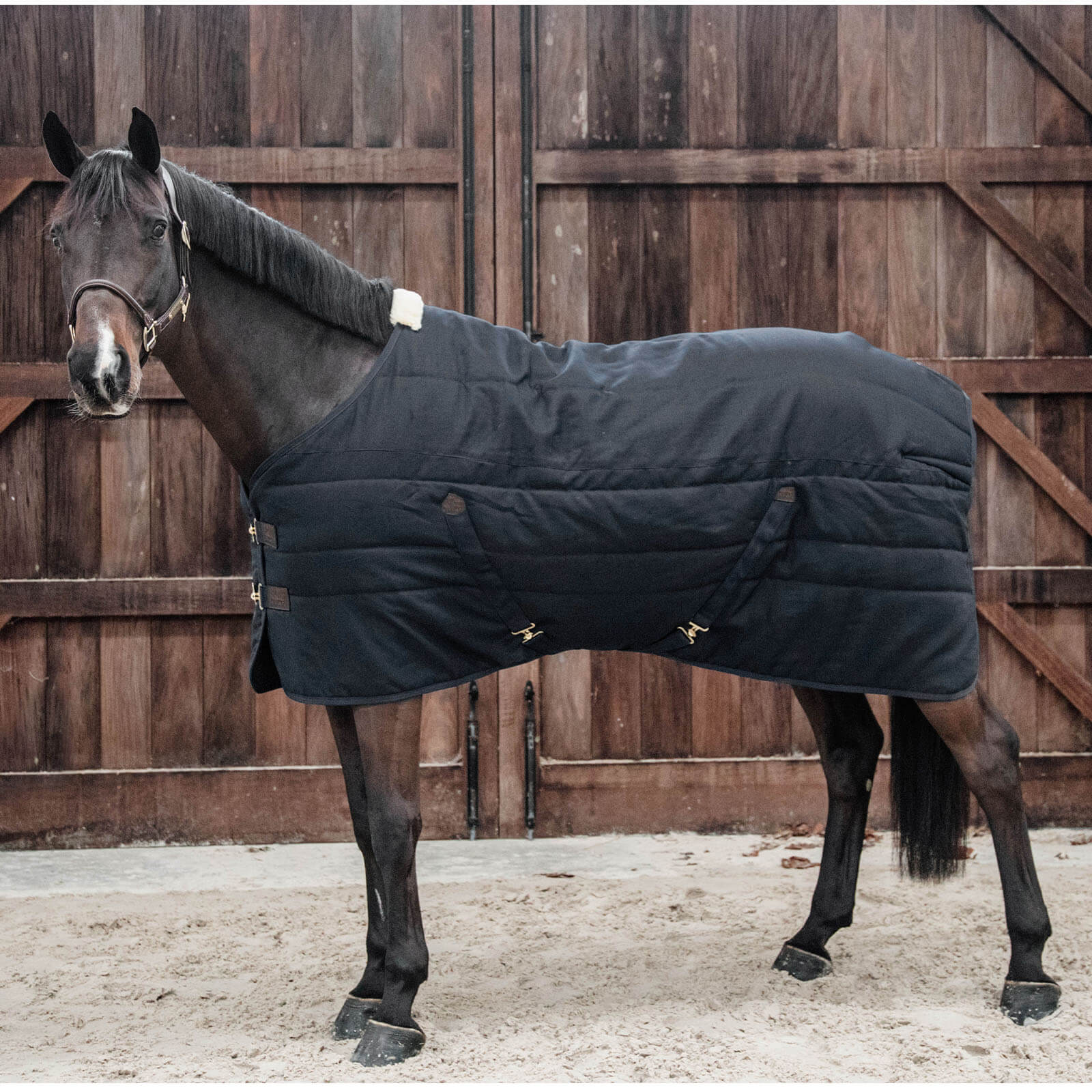 Stalldecke 300g Classic Winterdecke
