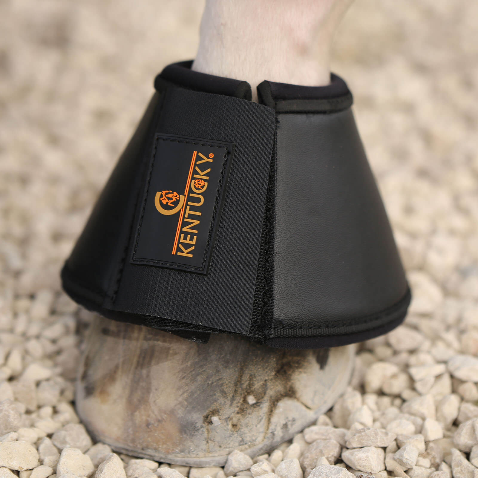 Hufglocken Leder Sprungglocken
