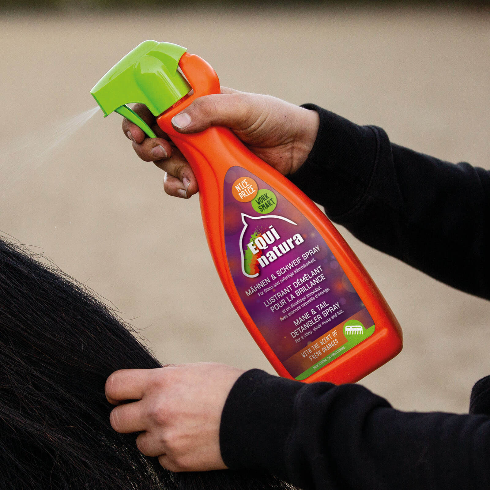 Striegel Mähnen und Schweif Spray