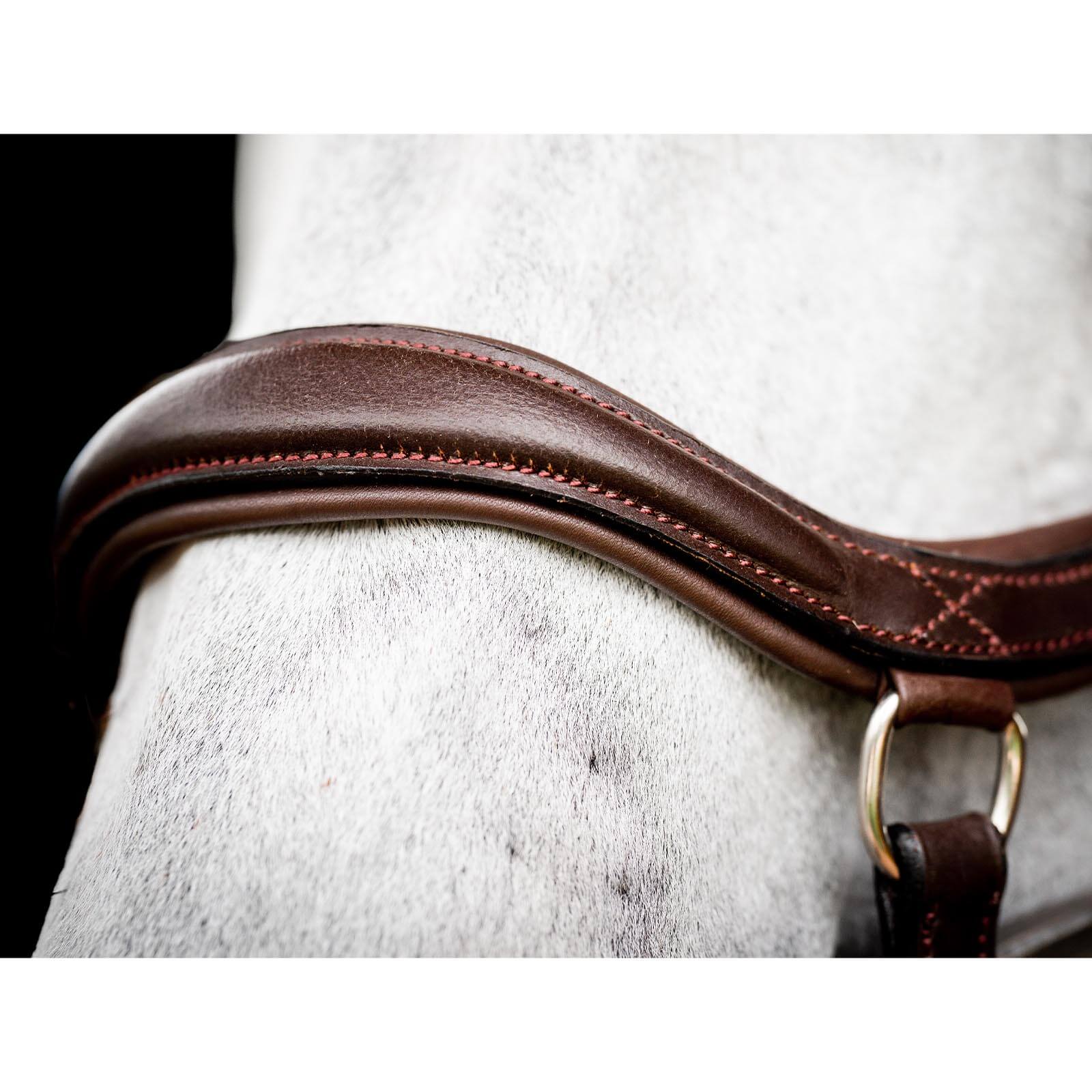 Trense Micklem 2 Deluxe Competition Bridle Micklemtrense