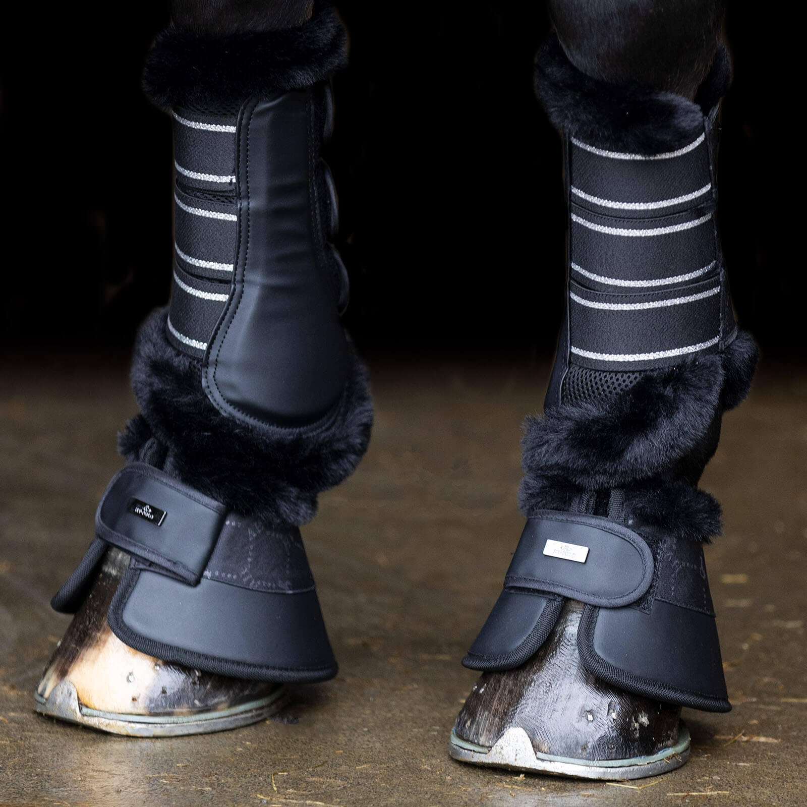 Gamaschen HVPWelmoed Shine HW 2023 Dressurgamaschen