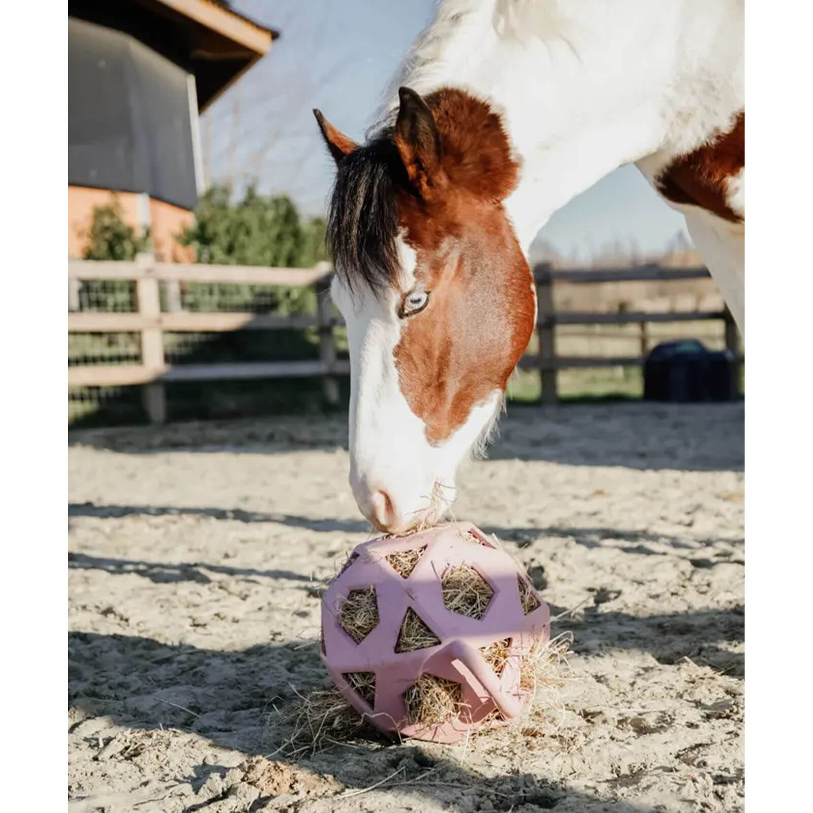 Futterball Spielzeug Relax Horse Spielball & Heuball