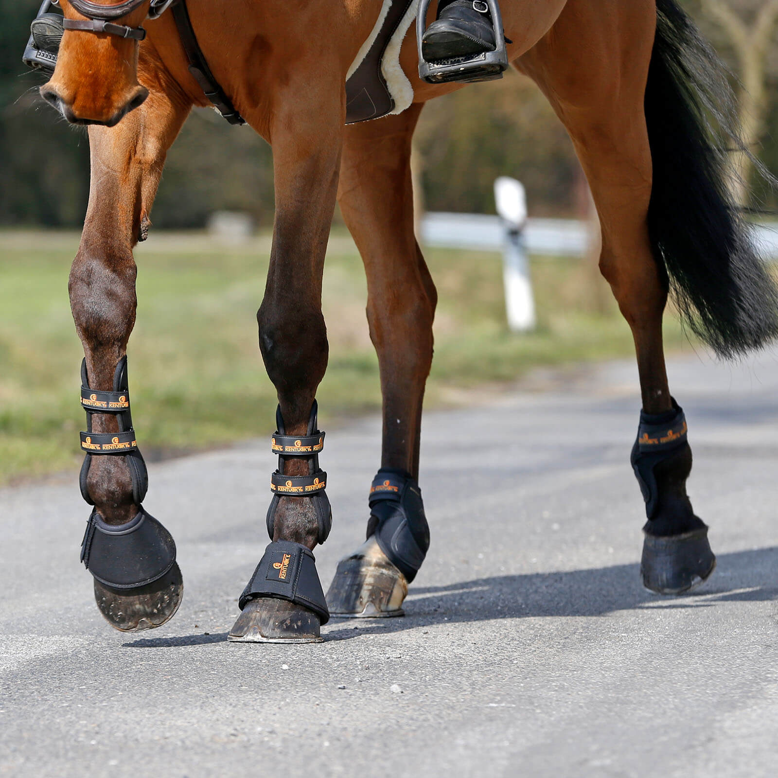 Hufglocken Leder Sprungglocken