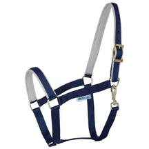 Navy/Silver