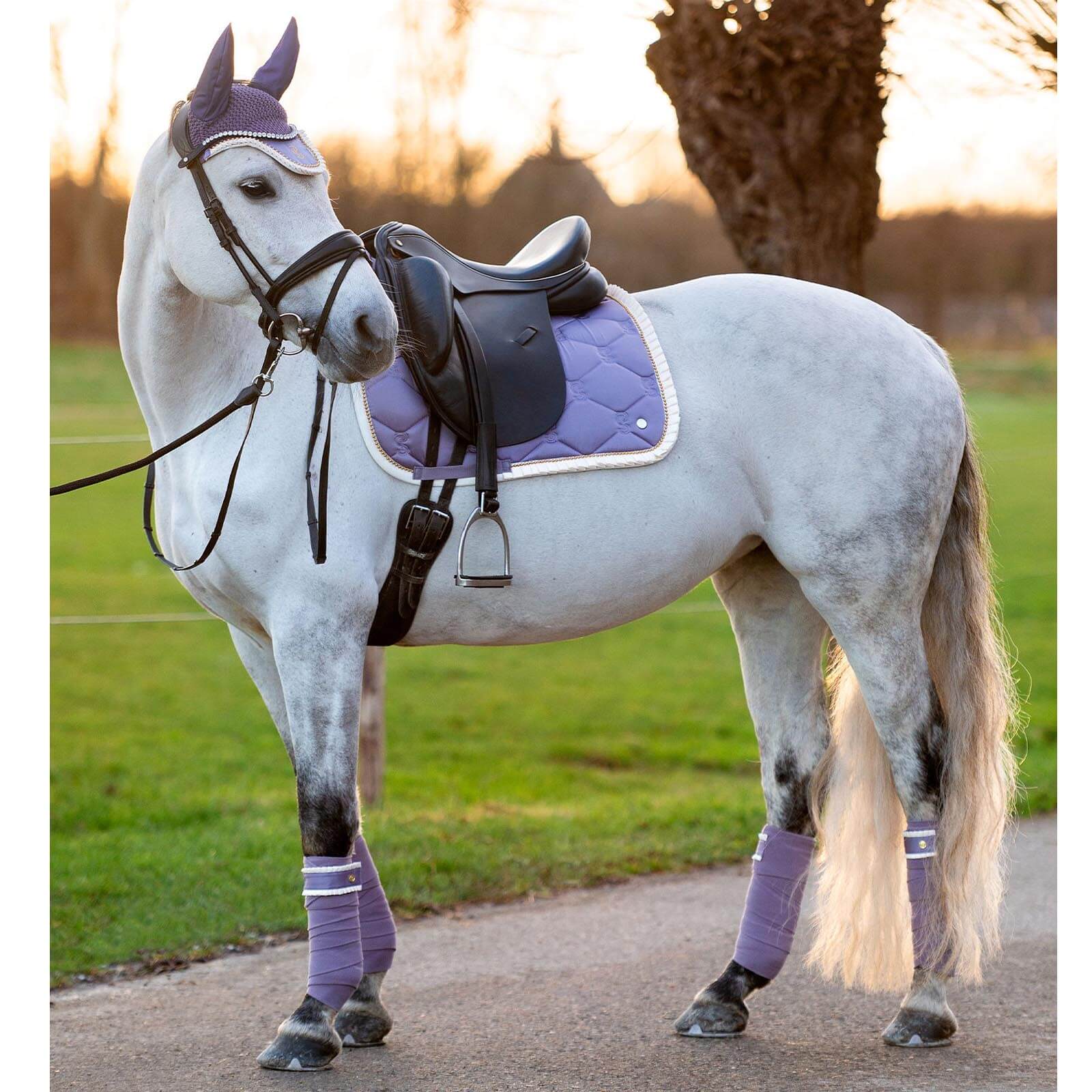 Bandagen Ruffle Pearl FS 2024 Polos
