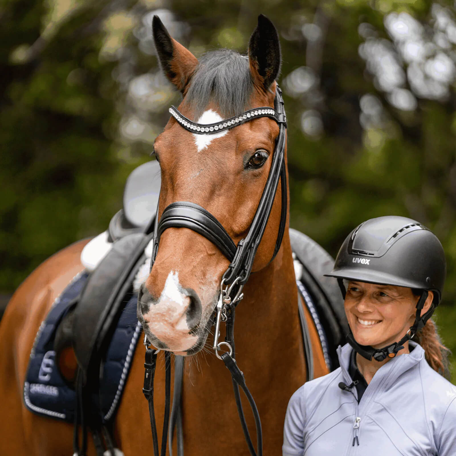 Dressurkandare Lang HO 12 mm SENSOGAN® Reitkandare