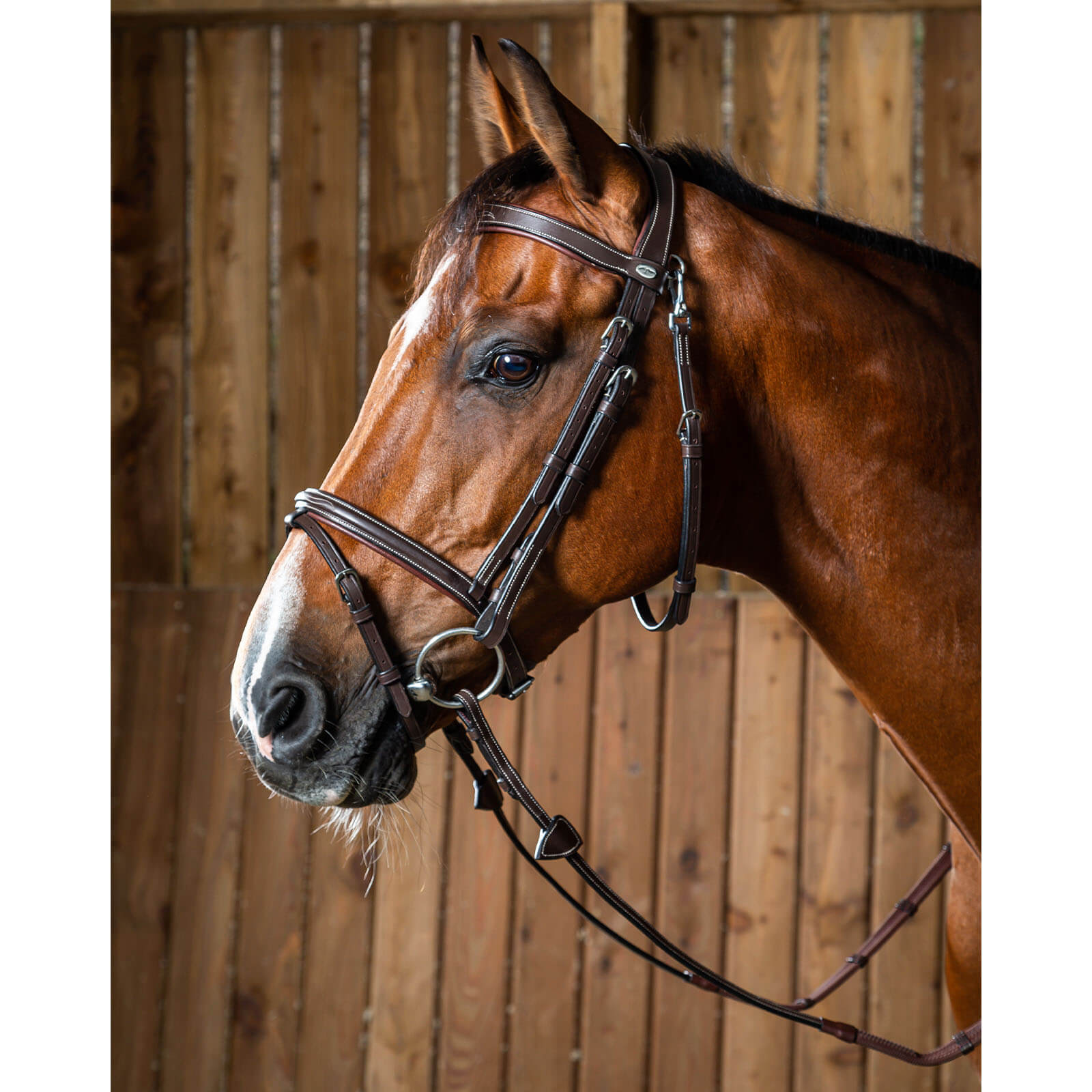 Trense mit kombiniertem Reithalfter und Karabiner Working Collection Trensenzaum