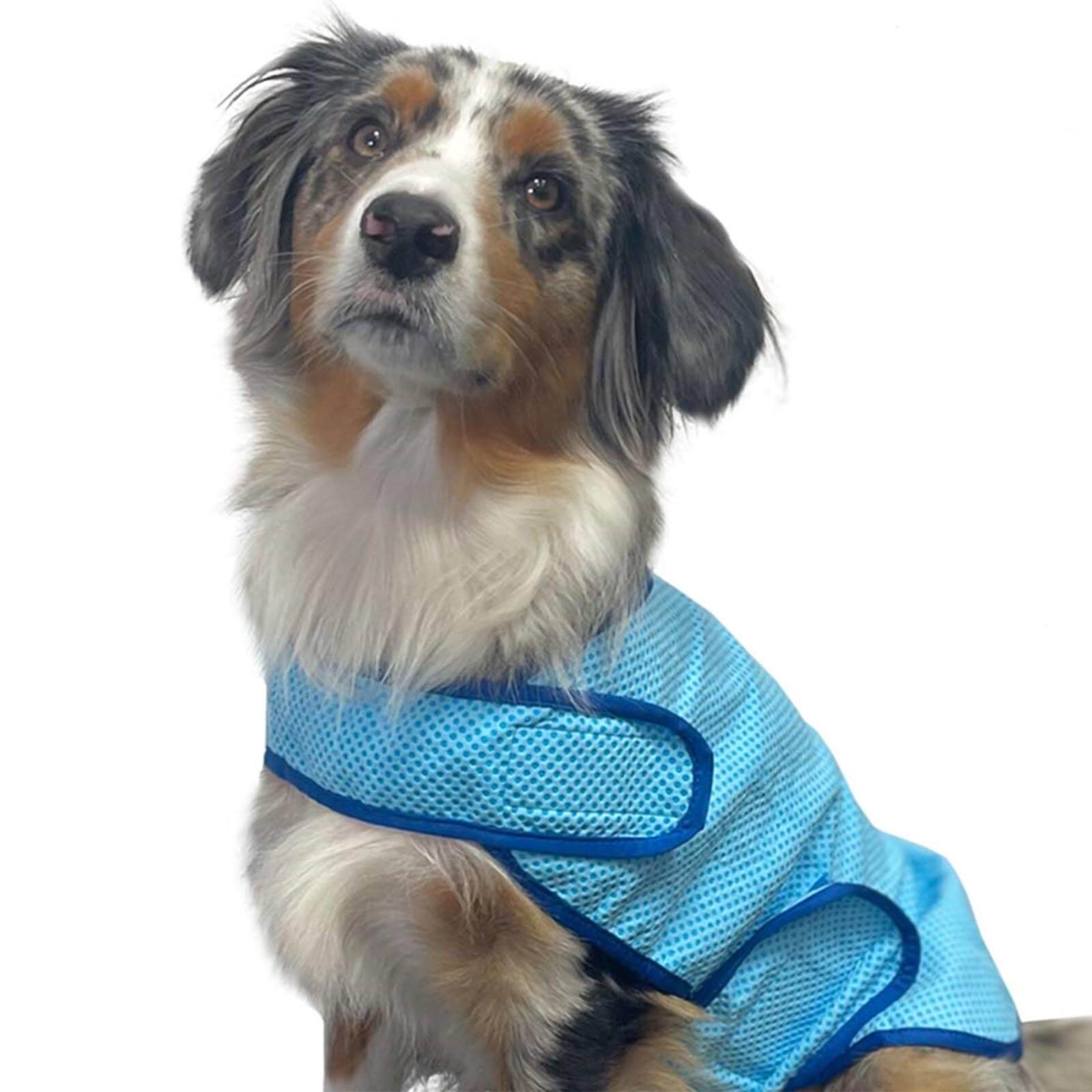 Kühlweste Comfort Hundekühlweste